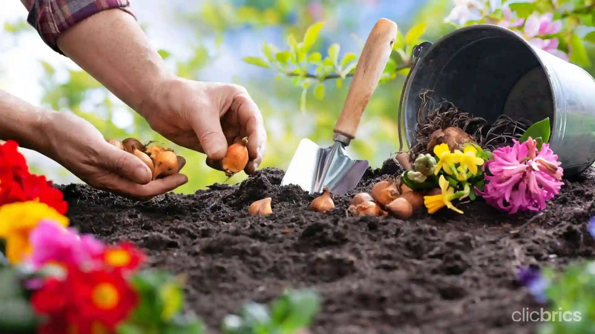 Eco-garden at home