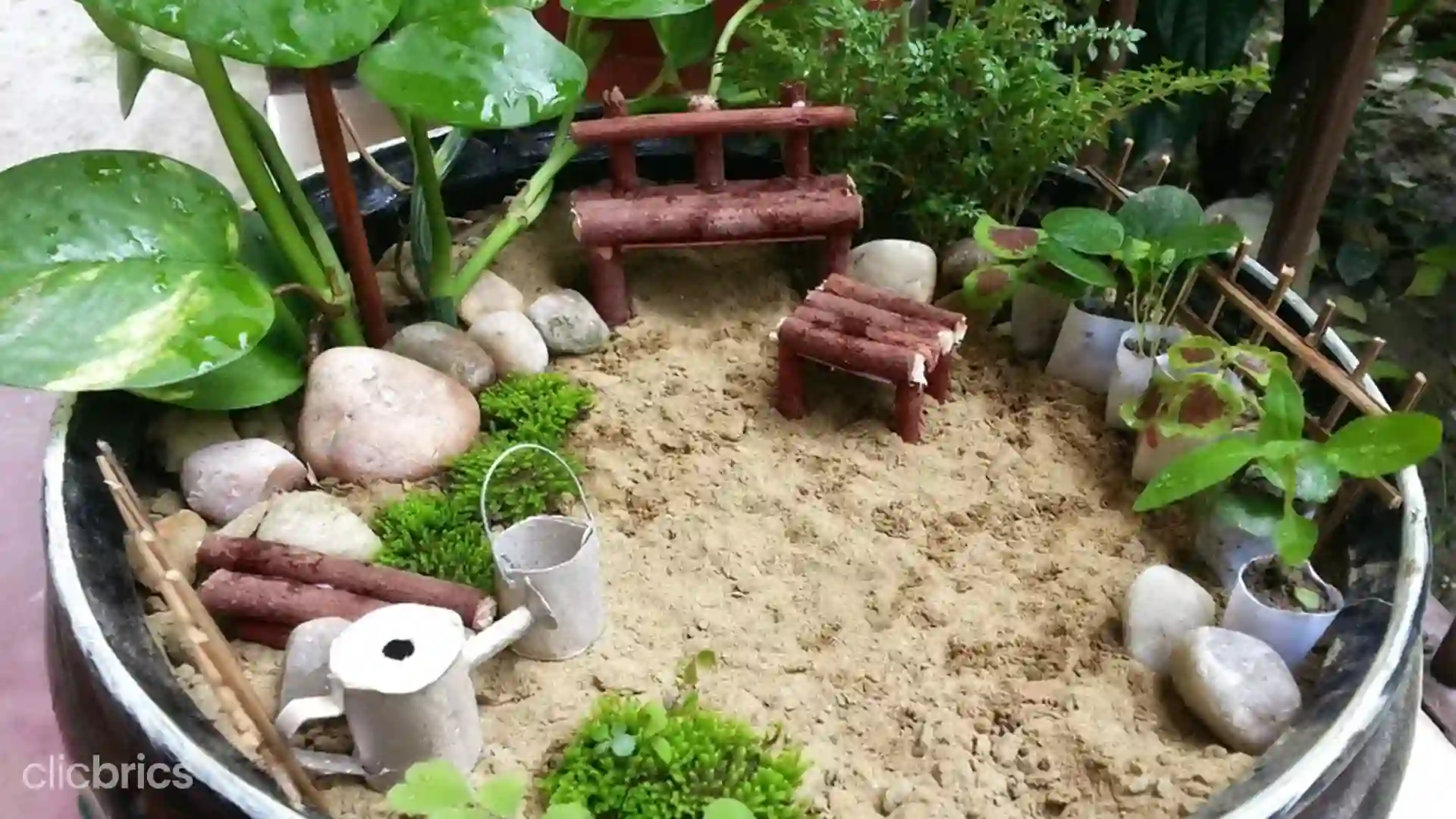 backyard fairy garden ideas