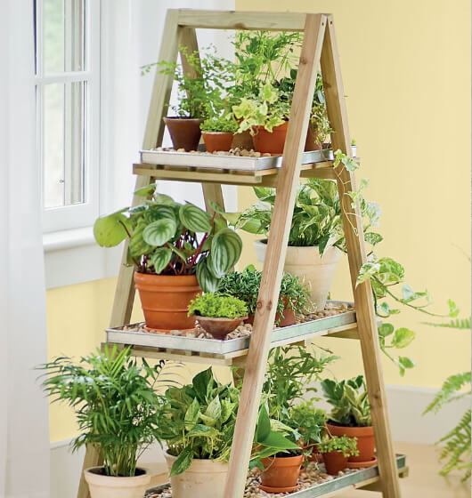 decorative vintage ladder idea