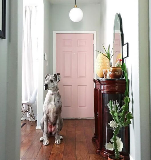 Pet-Friendly Home styles
