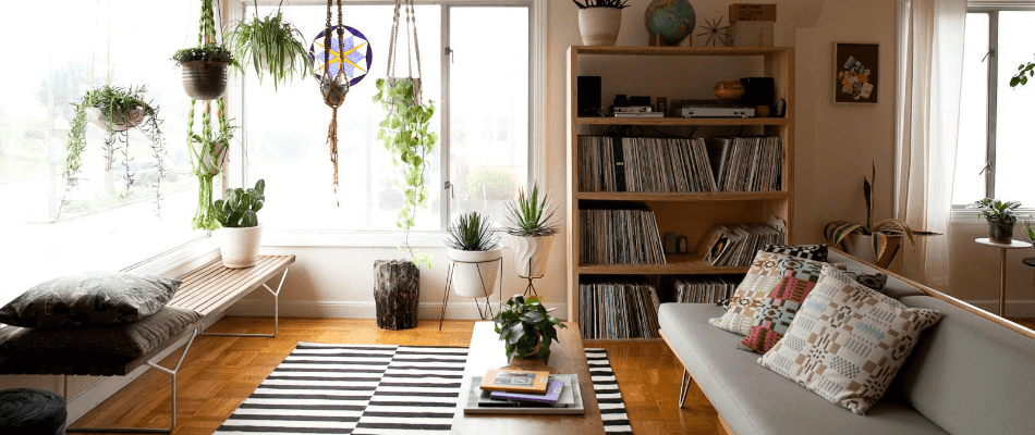 indoor plants decor