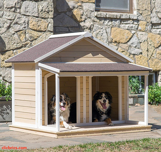 awesome dog kennels