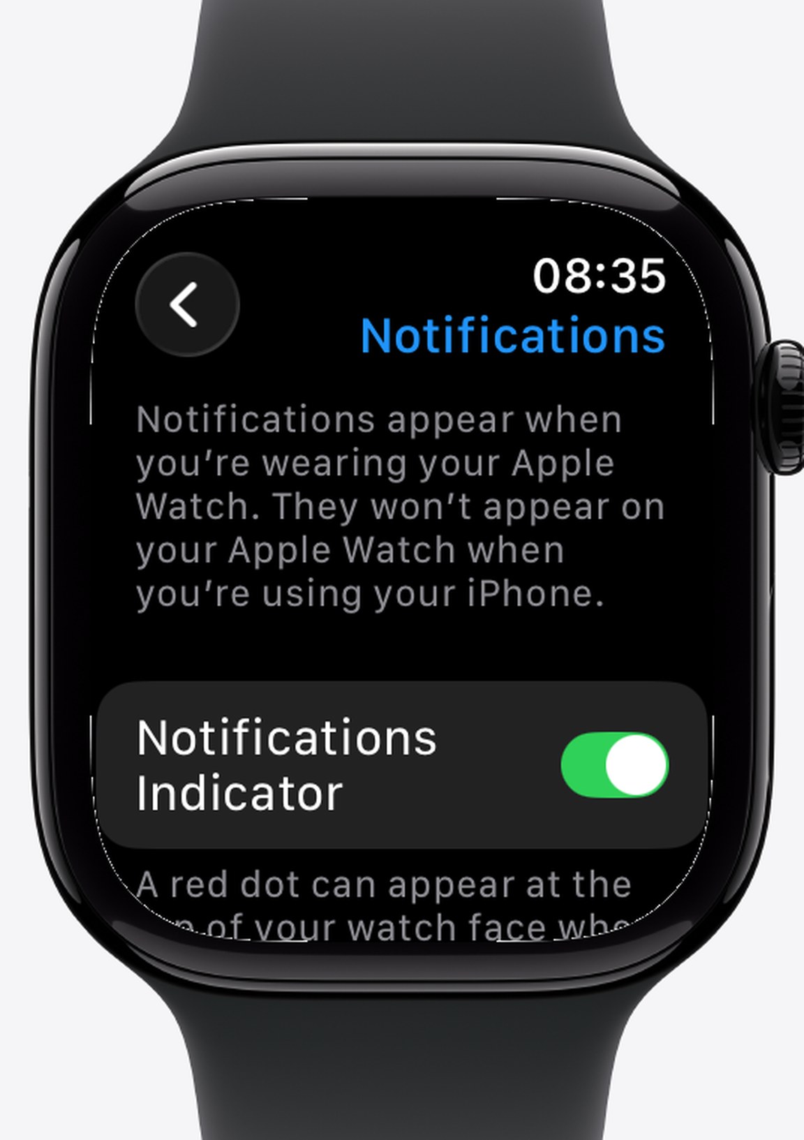 The Notifications screen in watchOS Settings, stating that notifications will not appear on the Watch while you are using your iPhone
