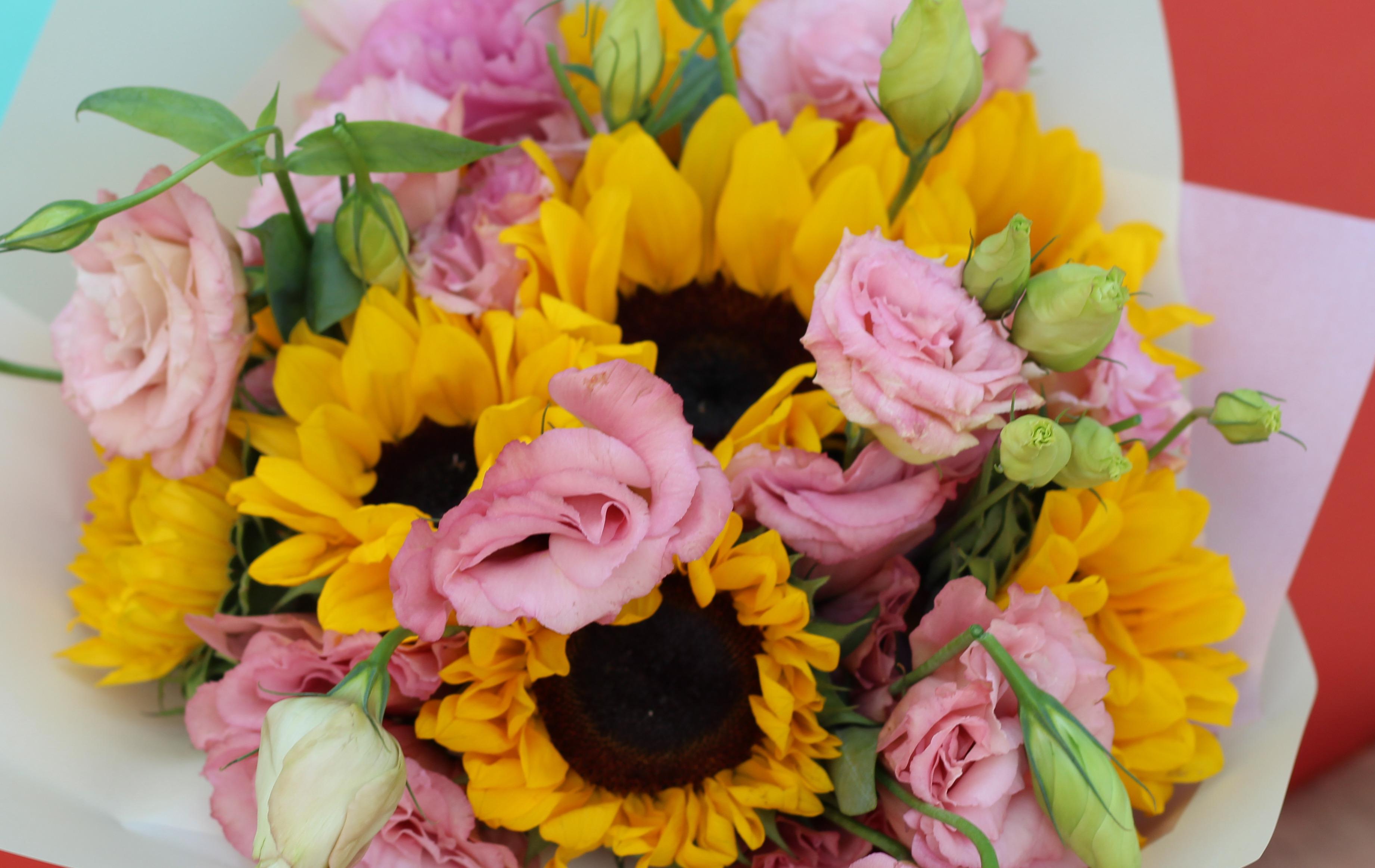 Red Floral en Temuco: Florería Pascal