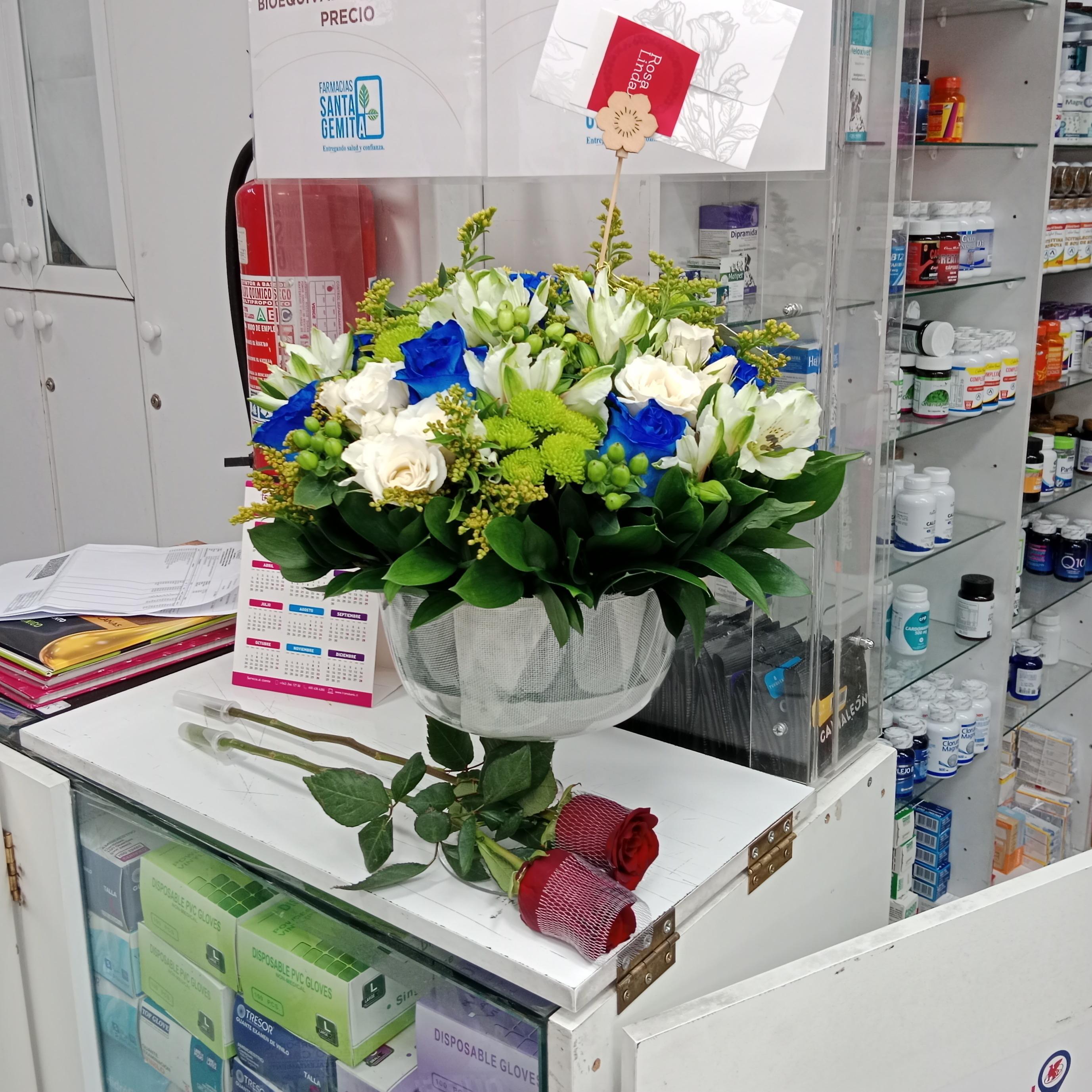 Pedido 3281