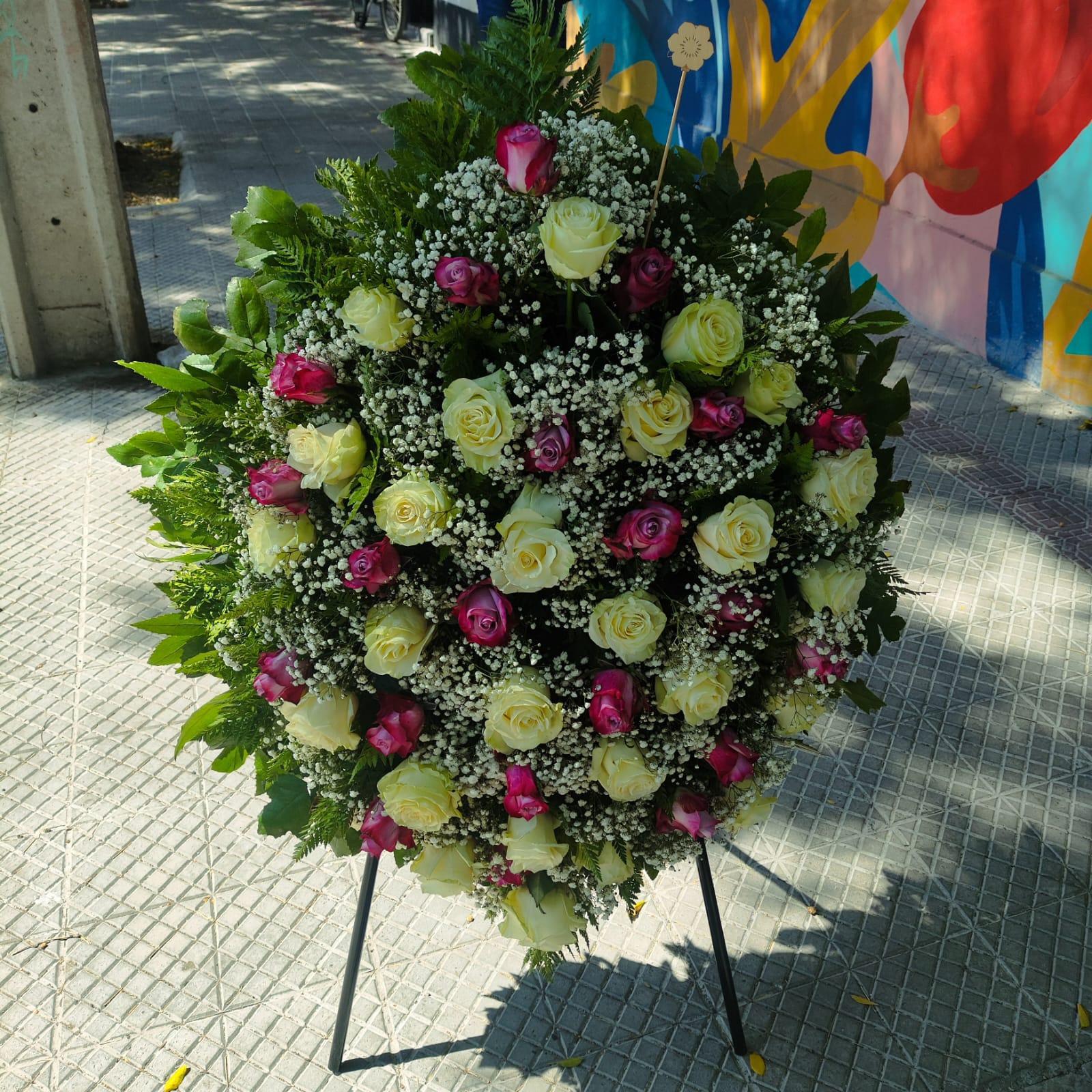 Pedido 3823