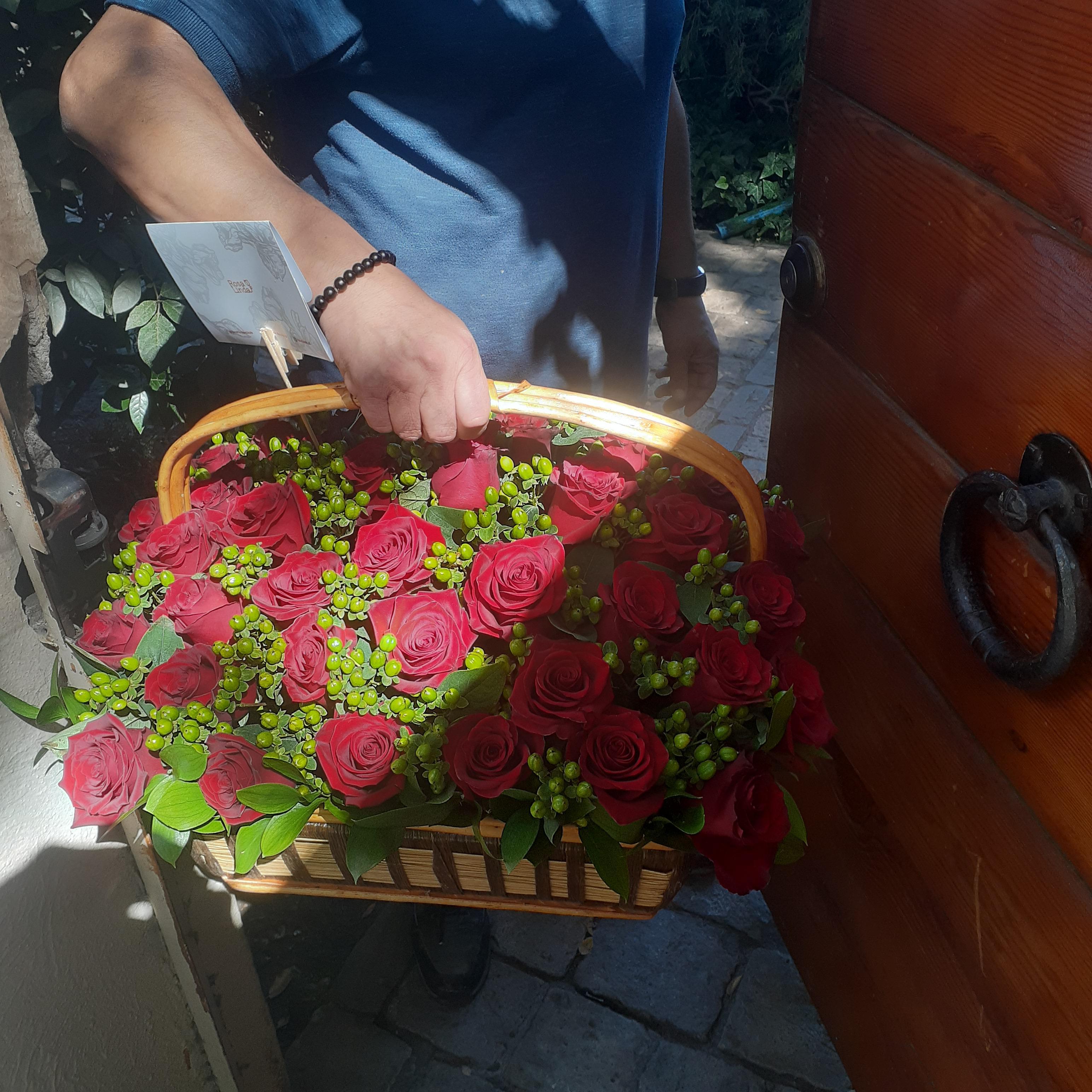 Pedido 4206