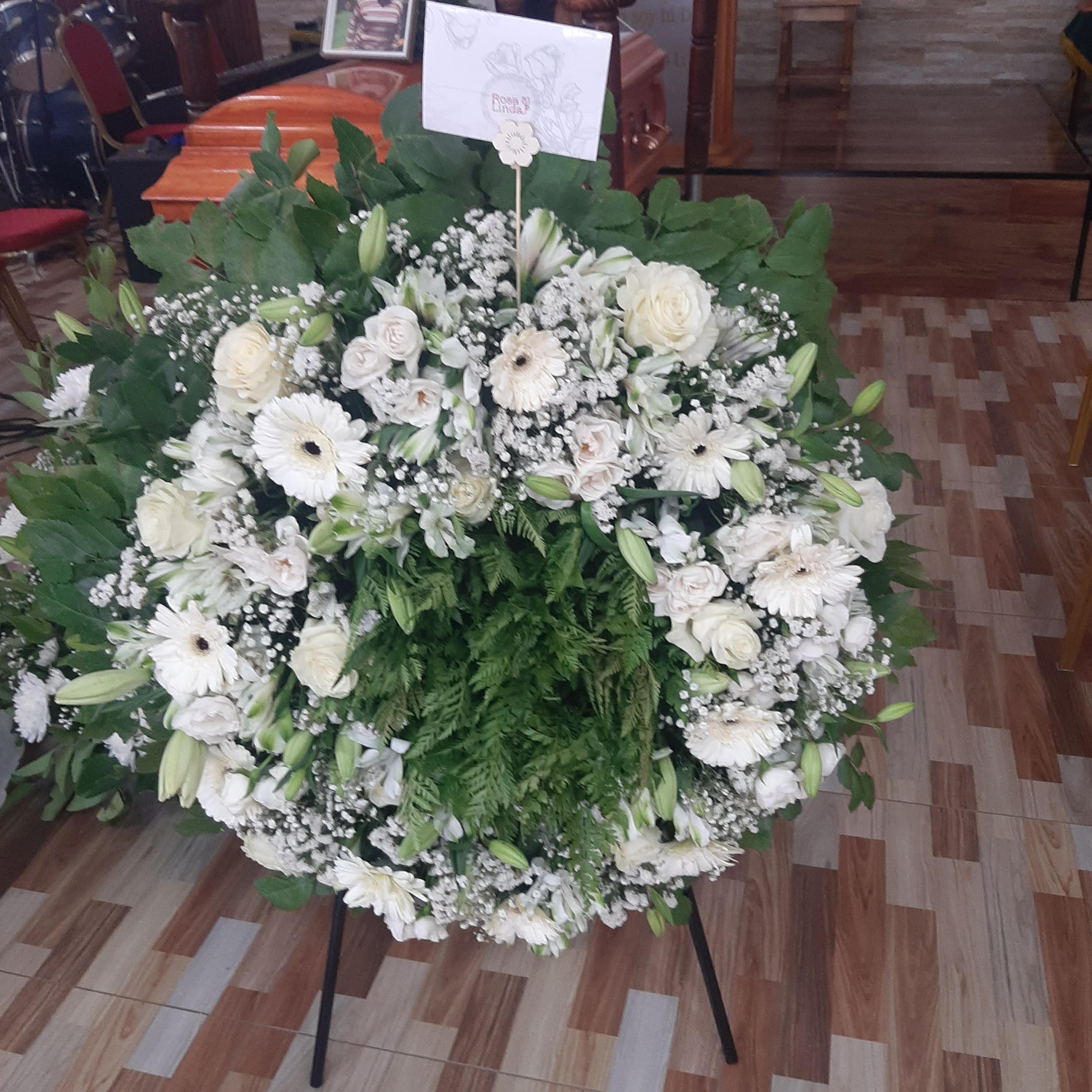 Pedido 4447