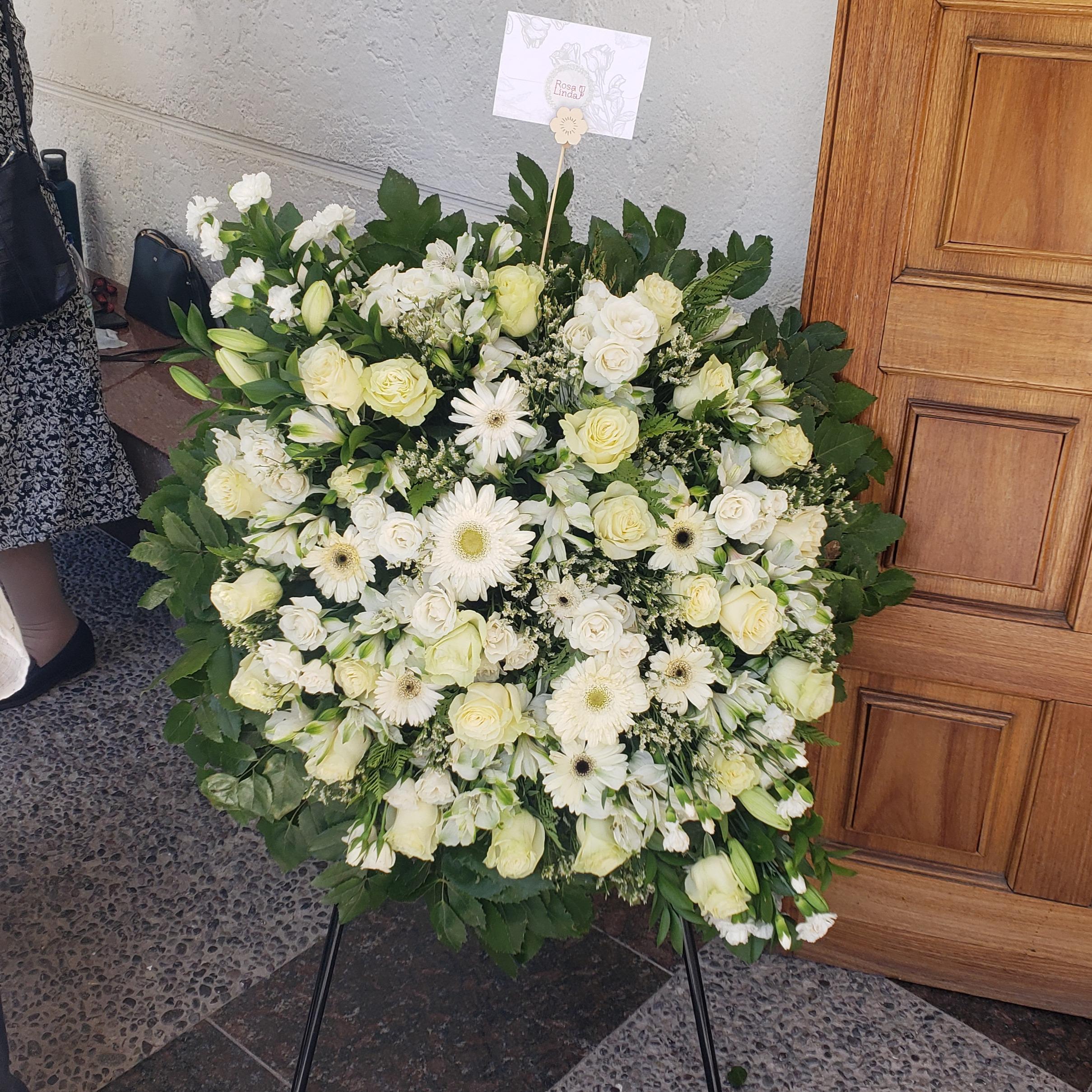 Pedido 4800