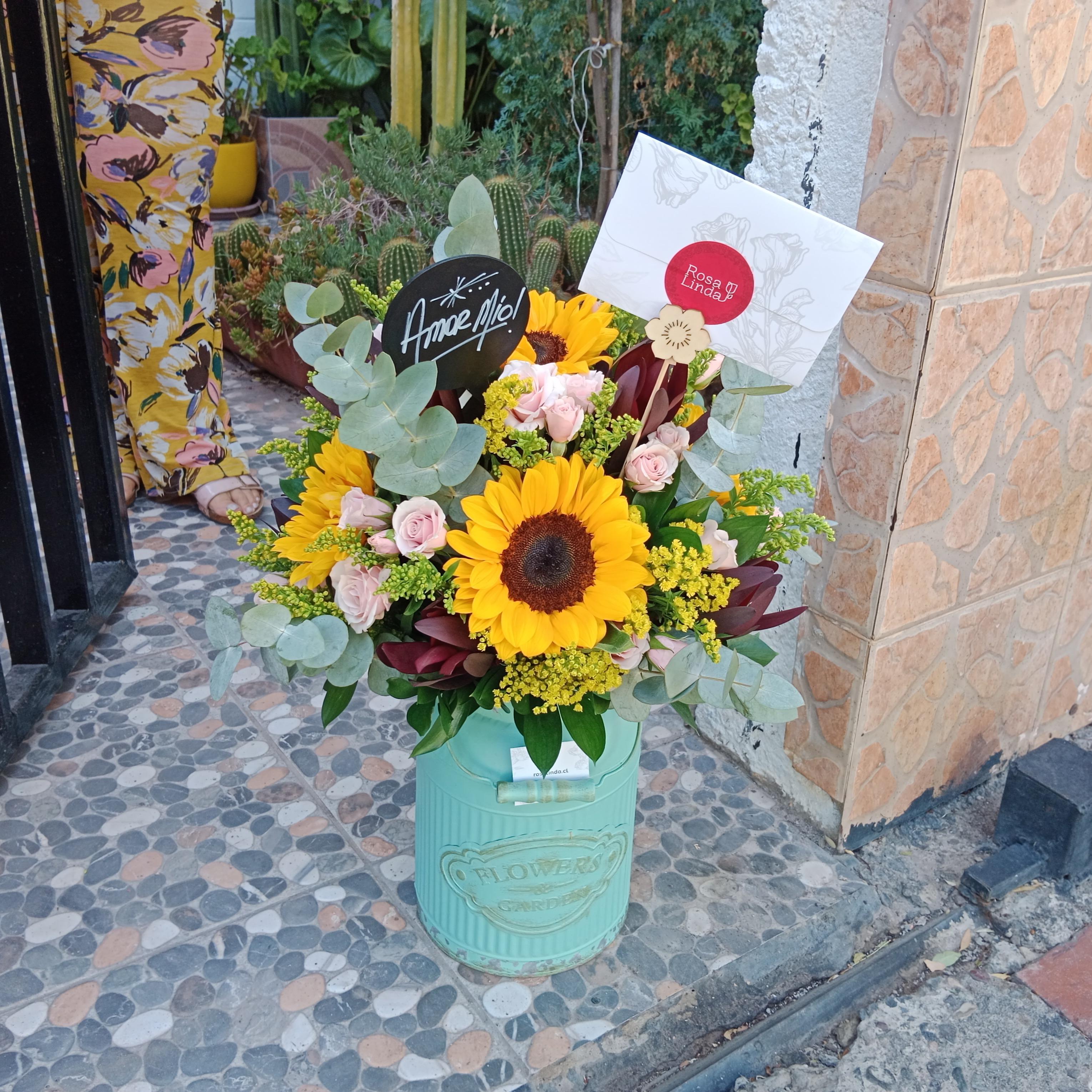 Pedido 5369