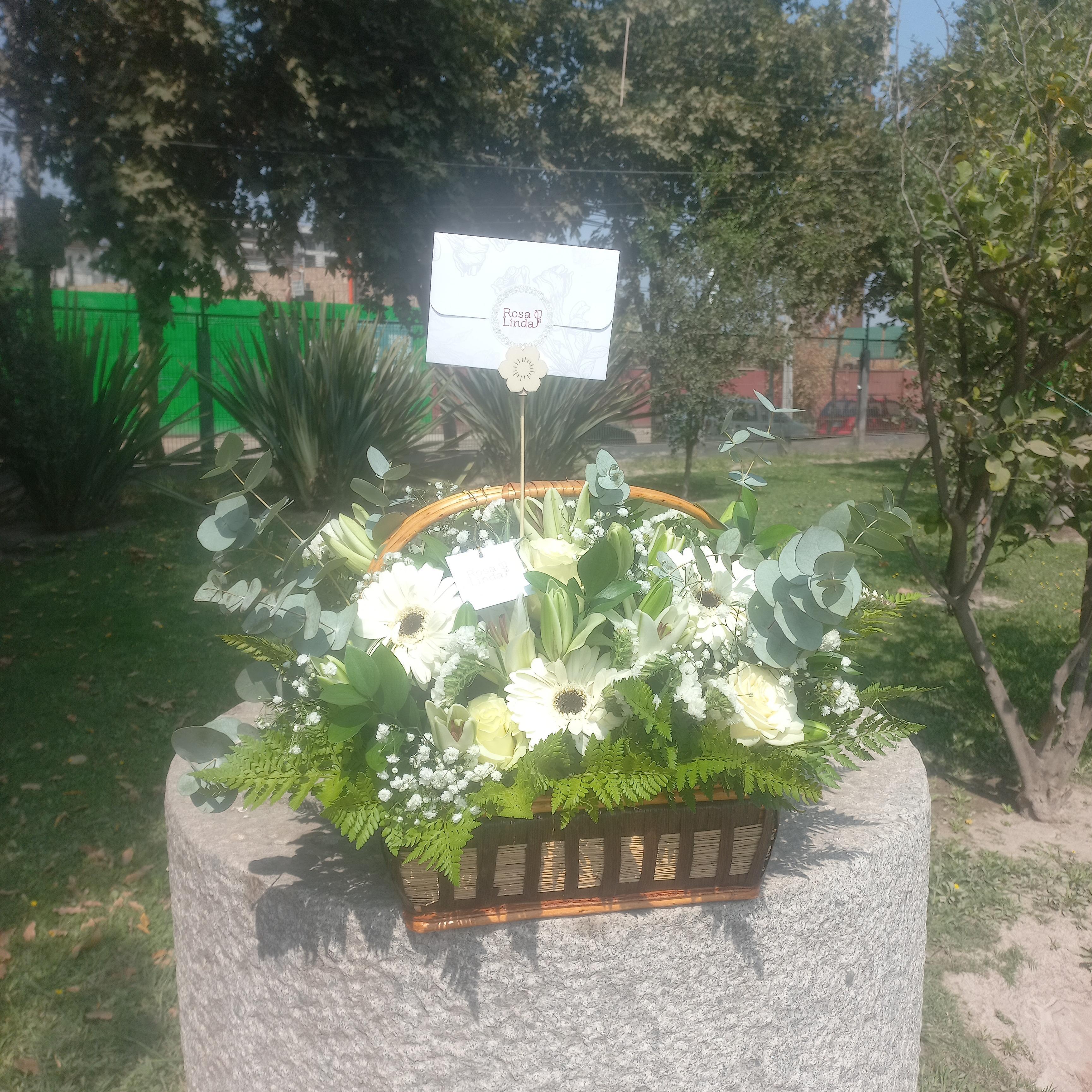 Pedido 5519
