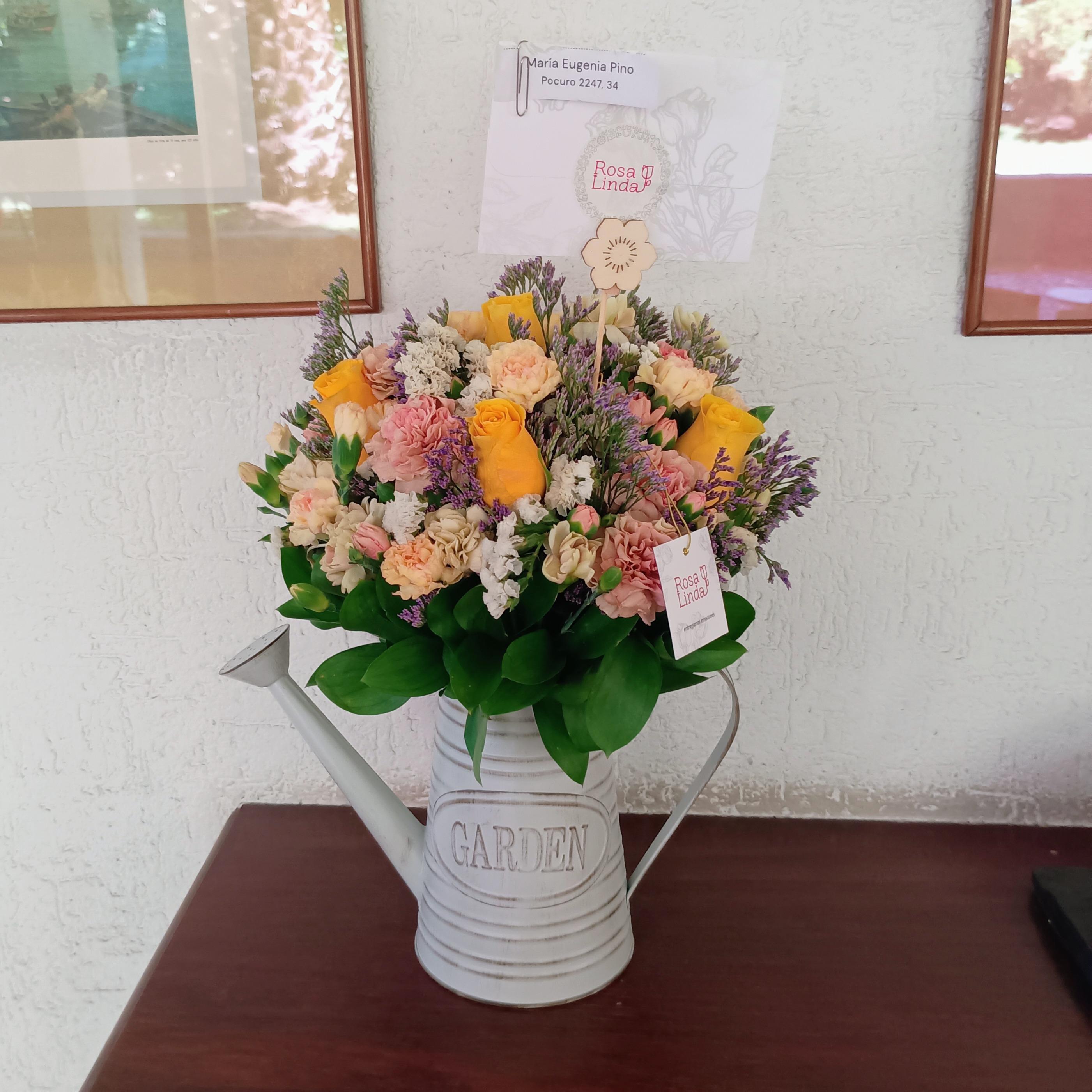 Pedido 5572
