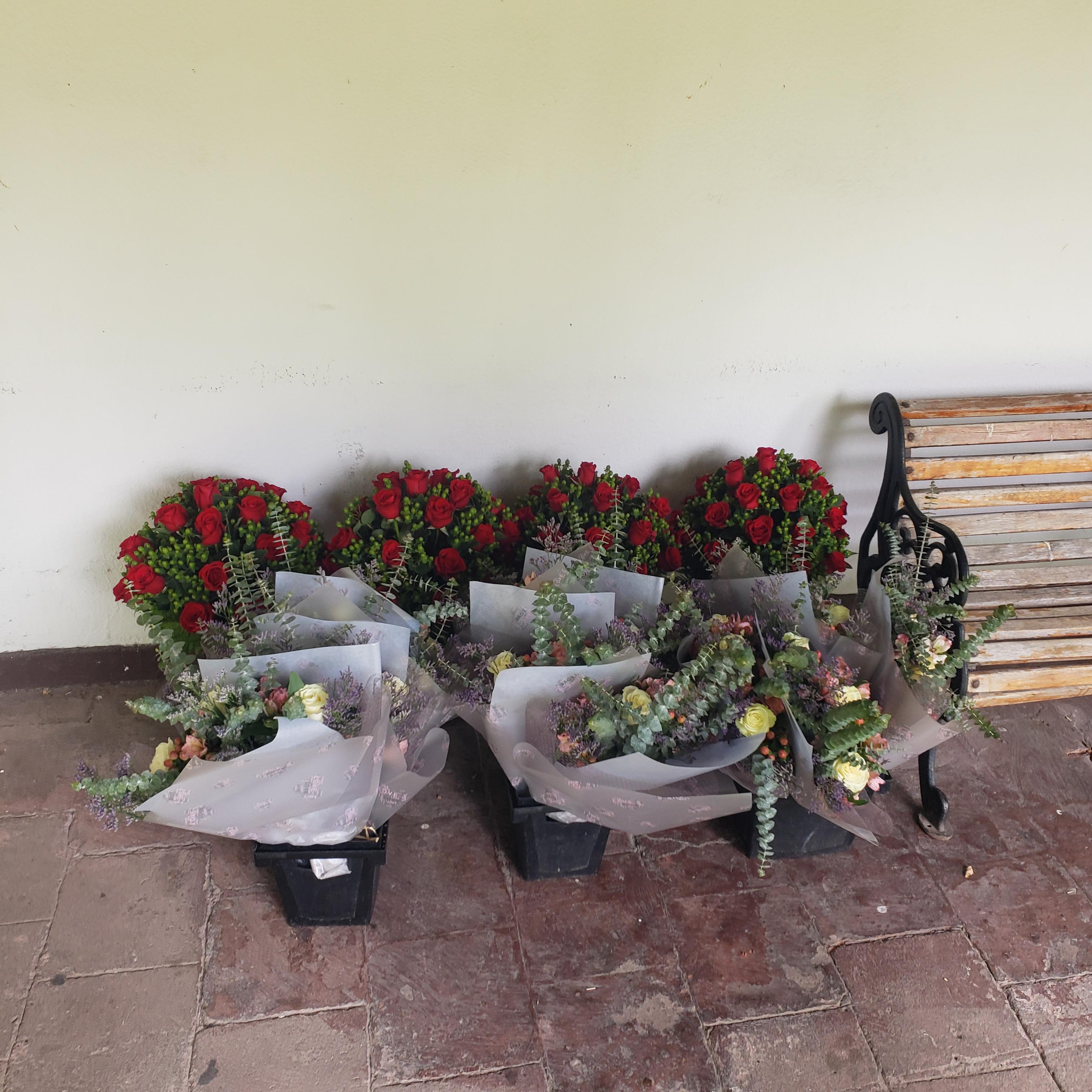 Pedido 6004
