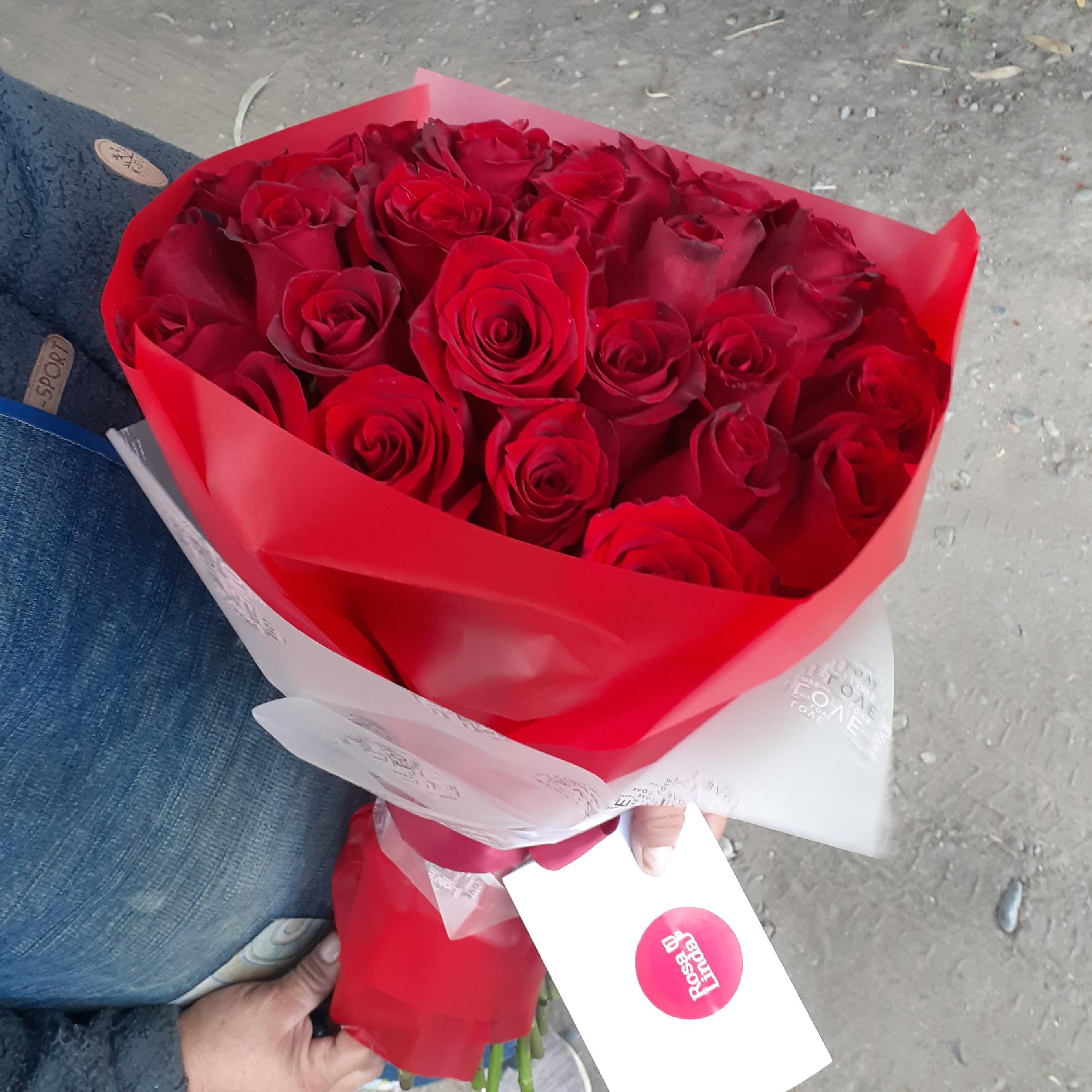 Pedido 6151