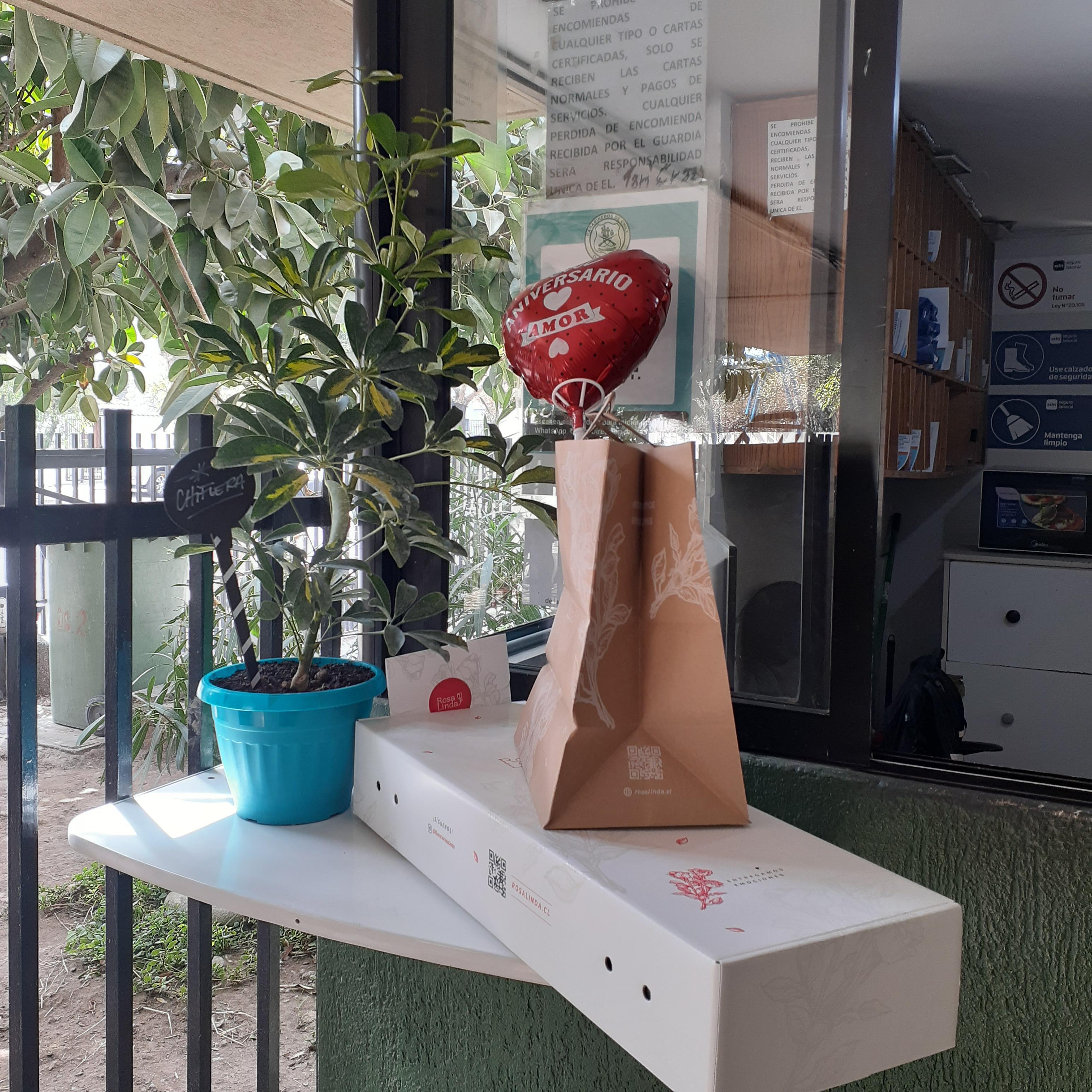 Pedido 6189