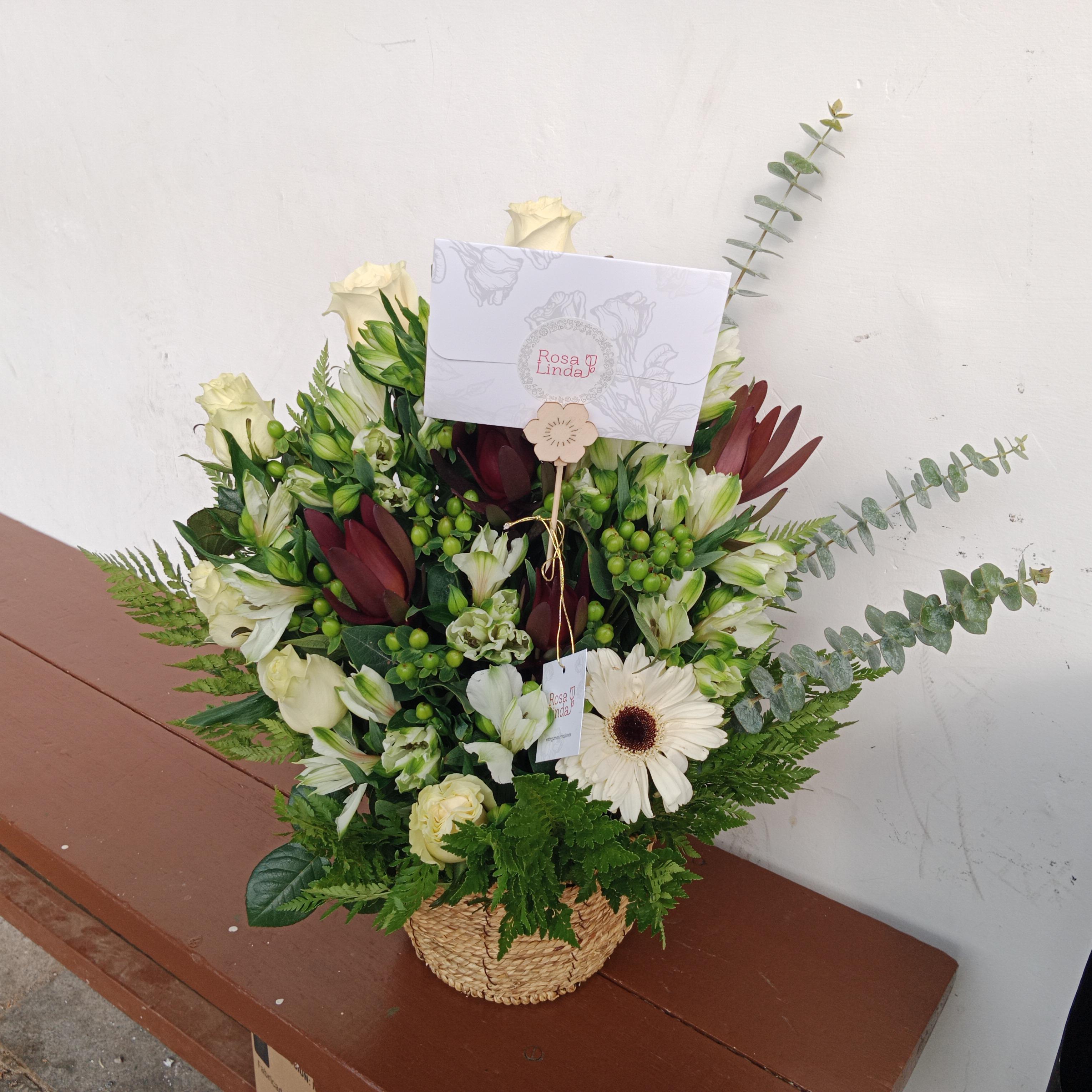 Pedido 6239