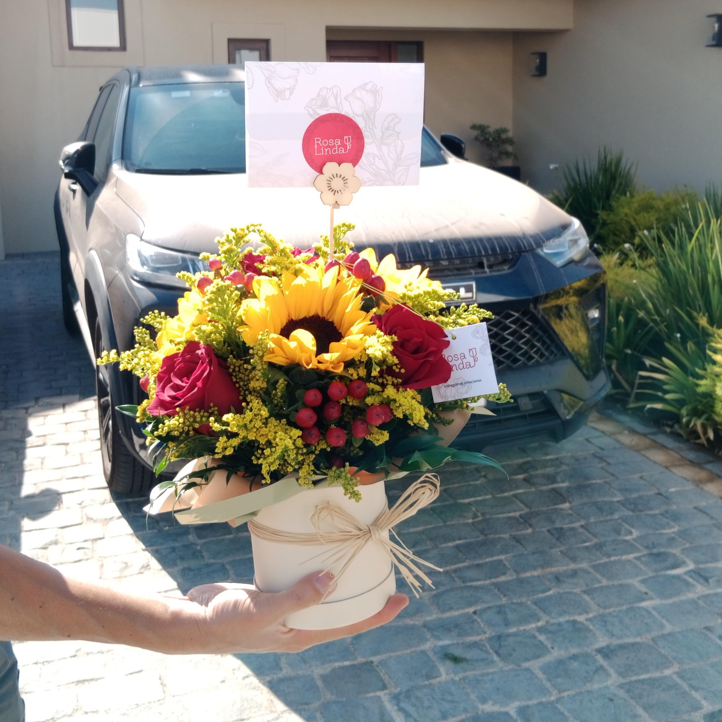 Pedido 6281