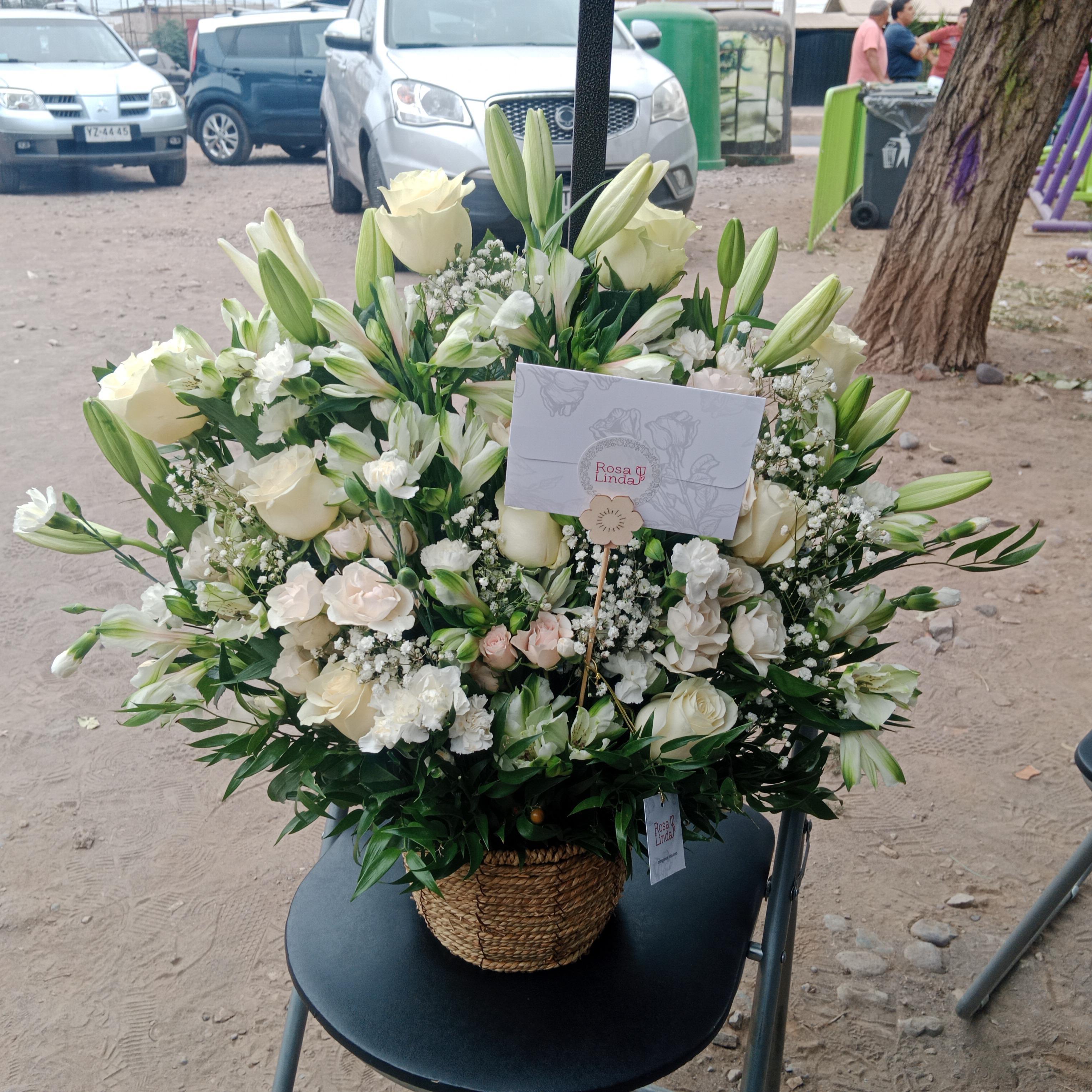 Pedido 6290