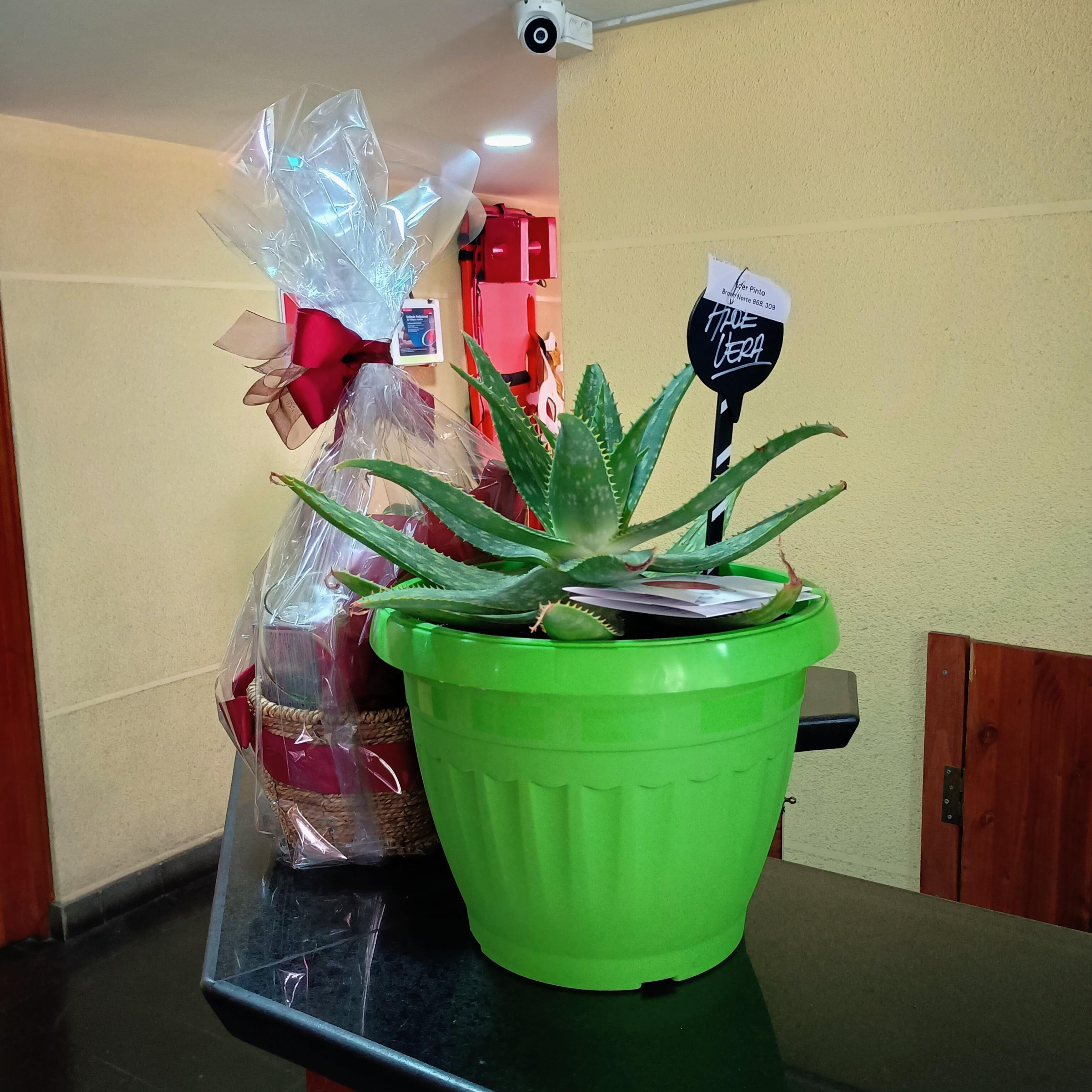 Pedido 6765