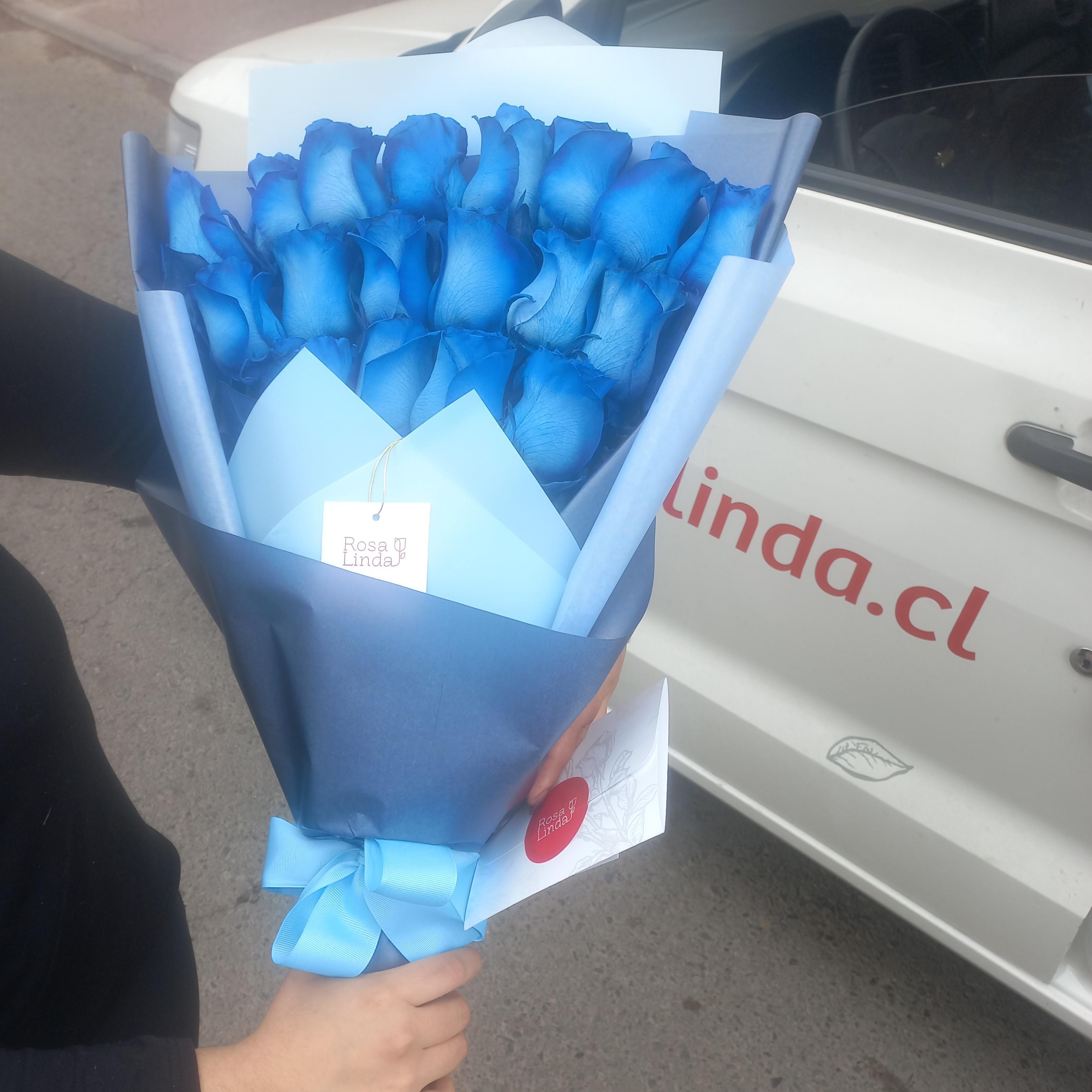 Pedido 6865