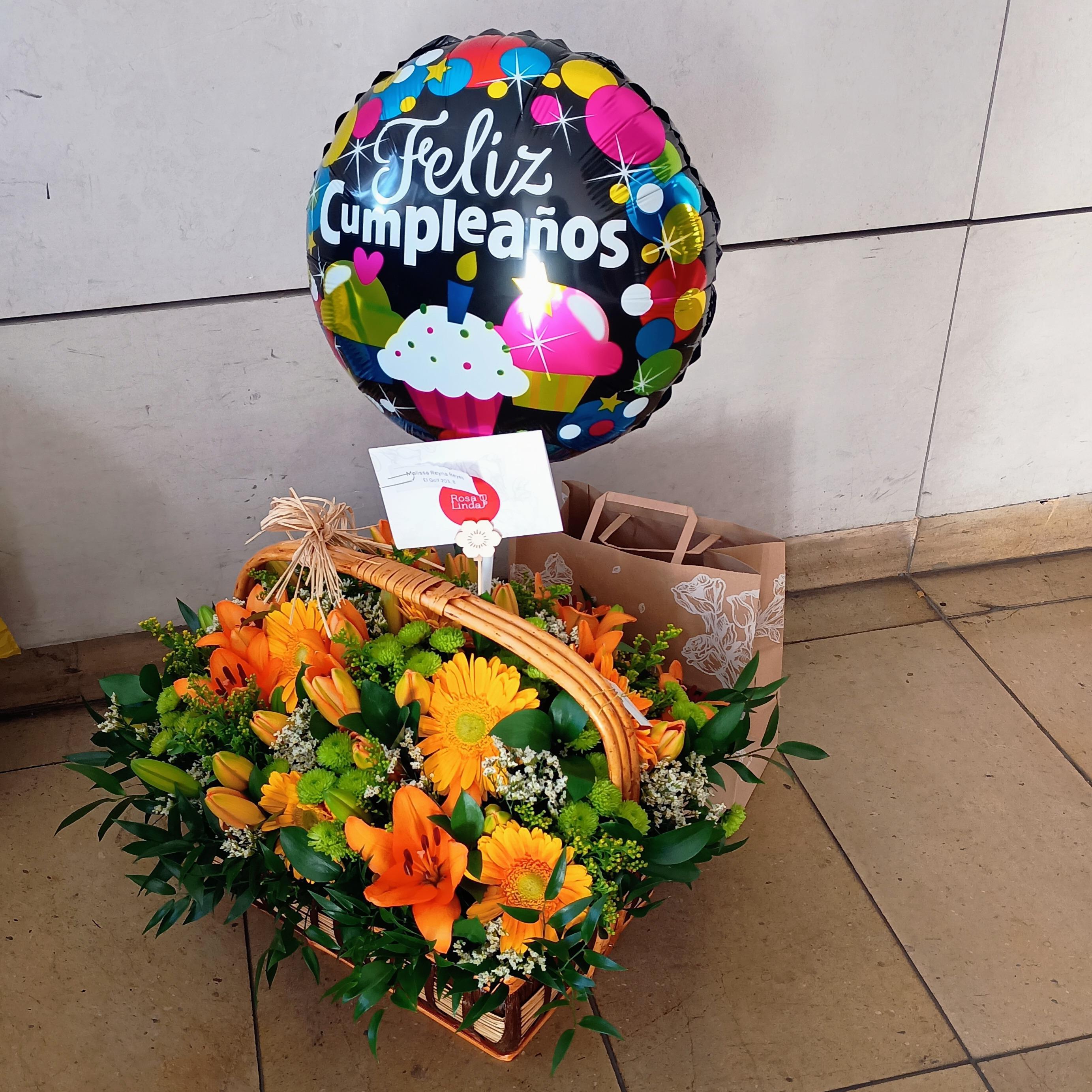 Pedido 7069