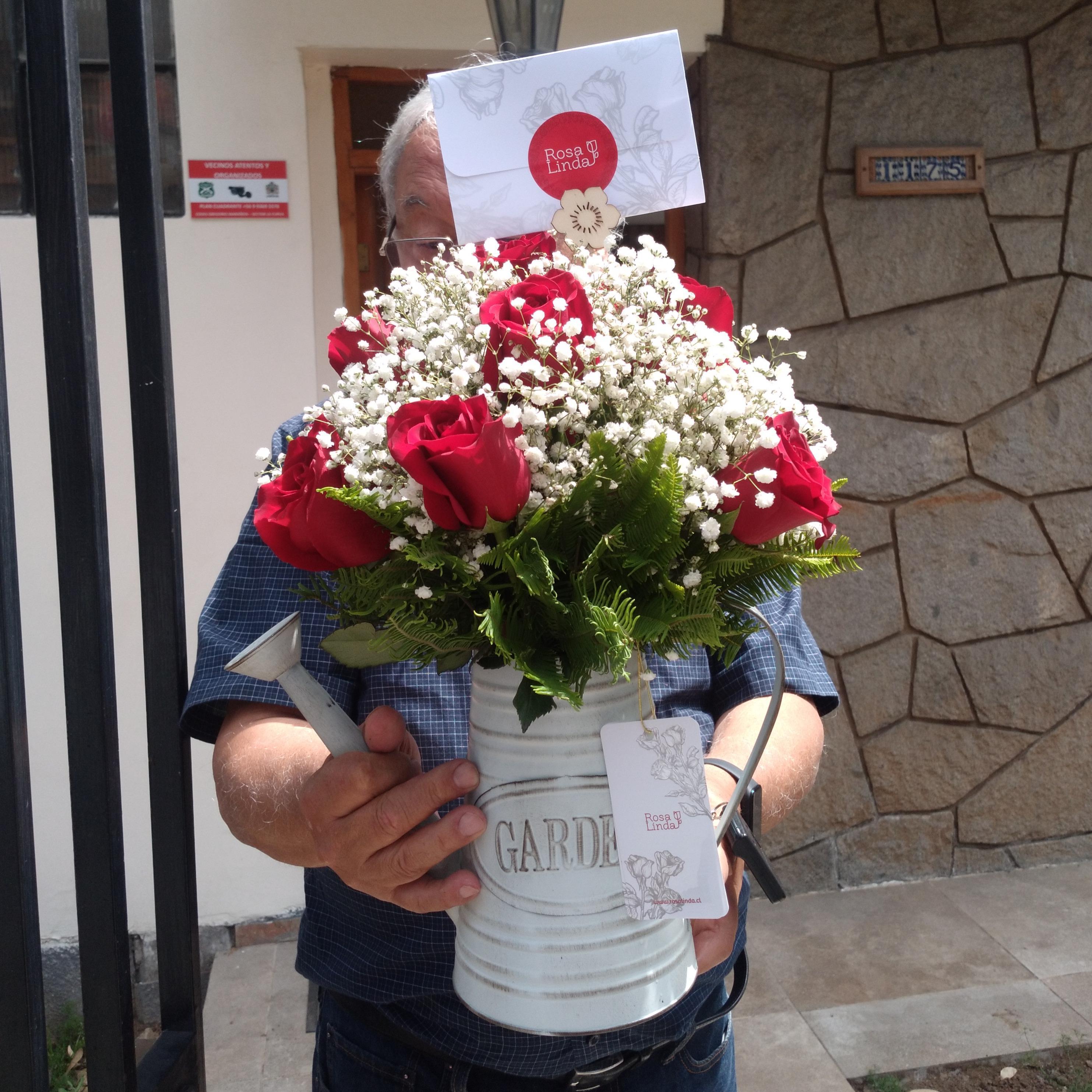 Pedido 393