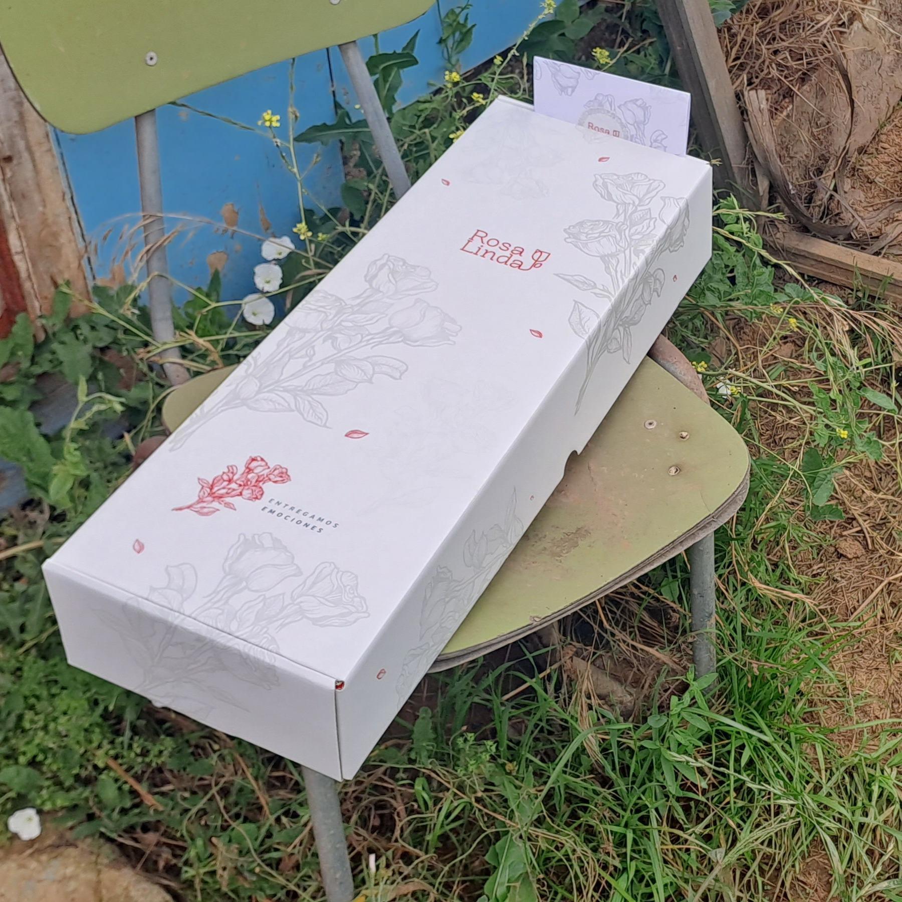 Pedido 498