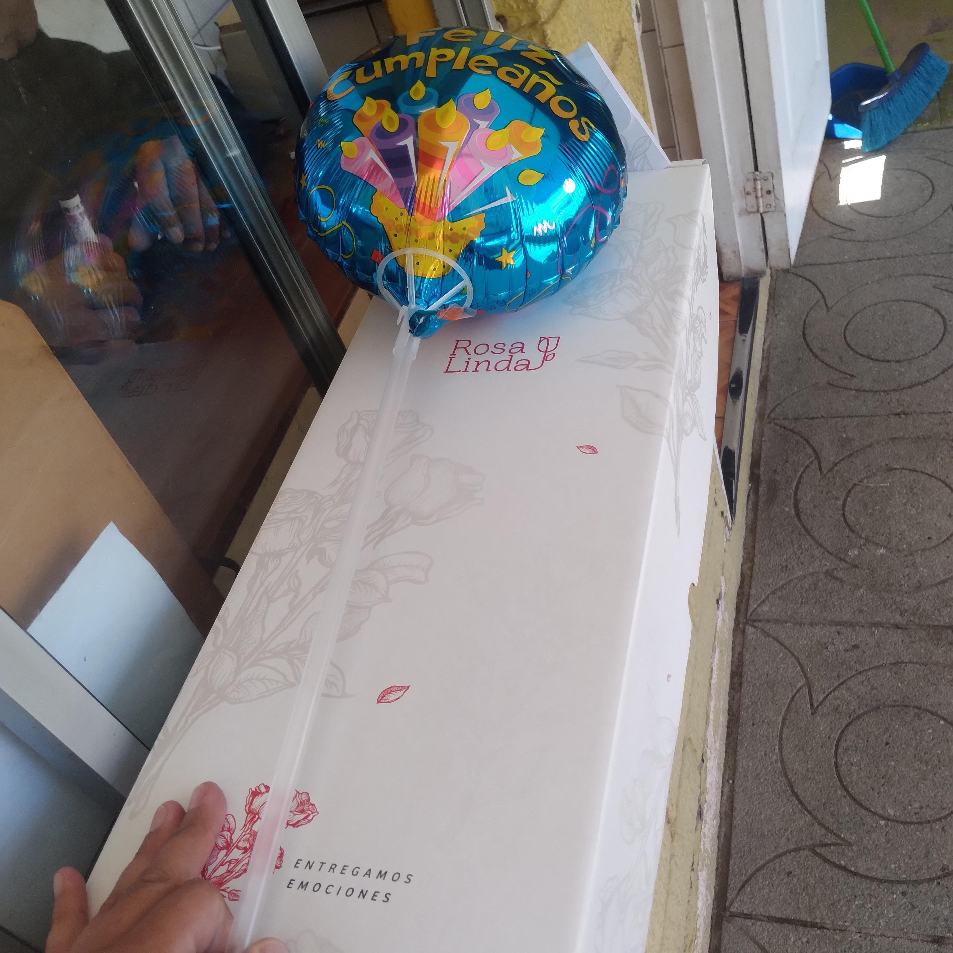 Pedido 550