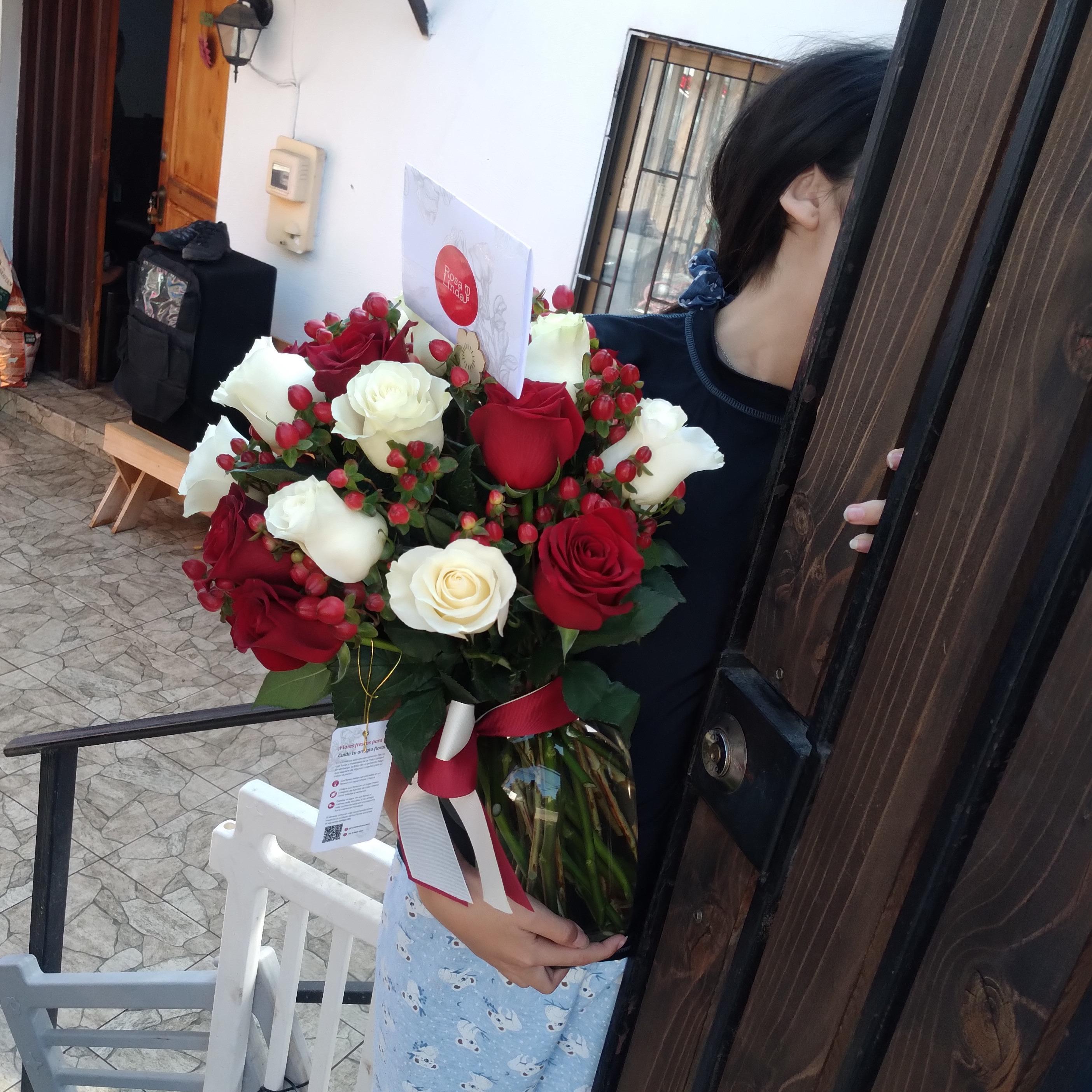 Pedido 557