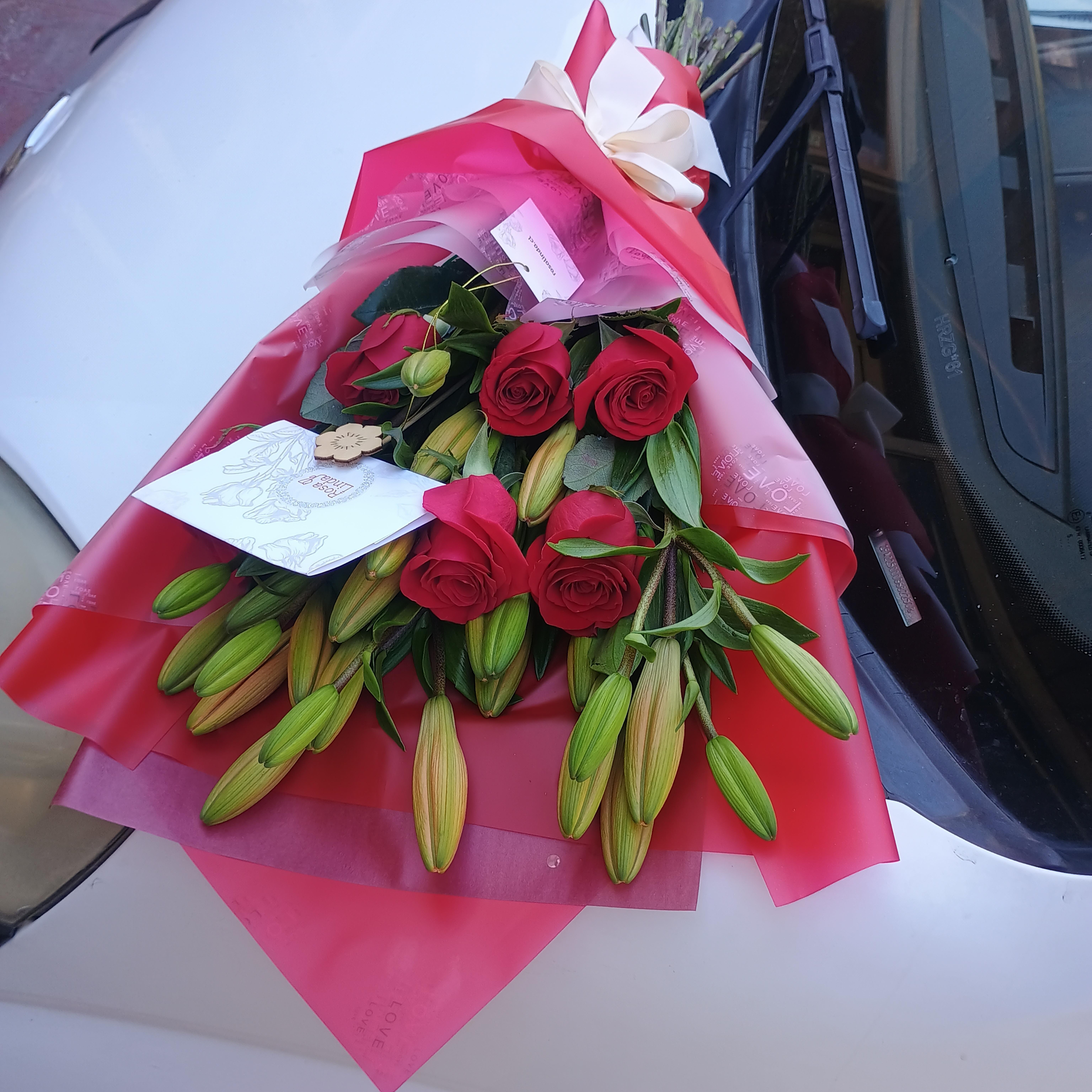 Pedido 6494