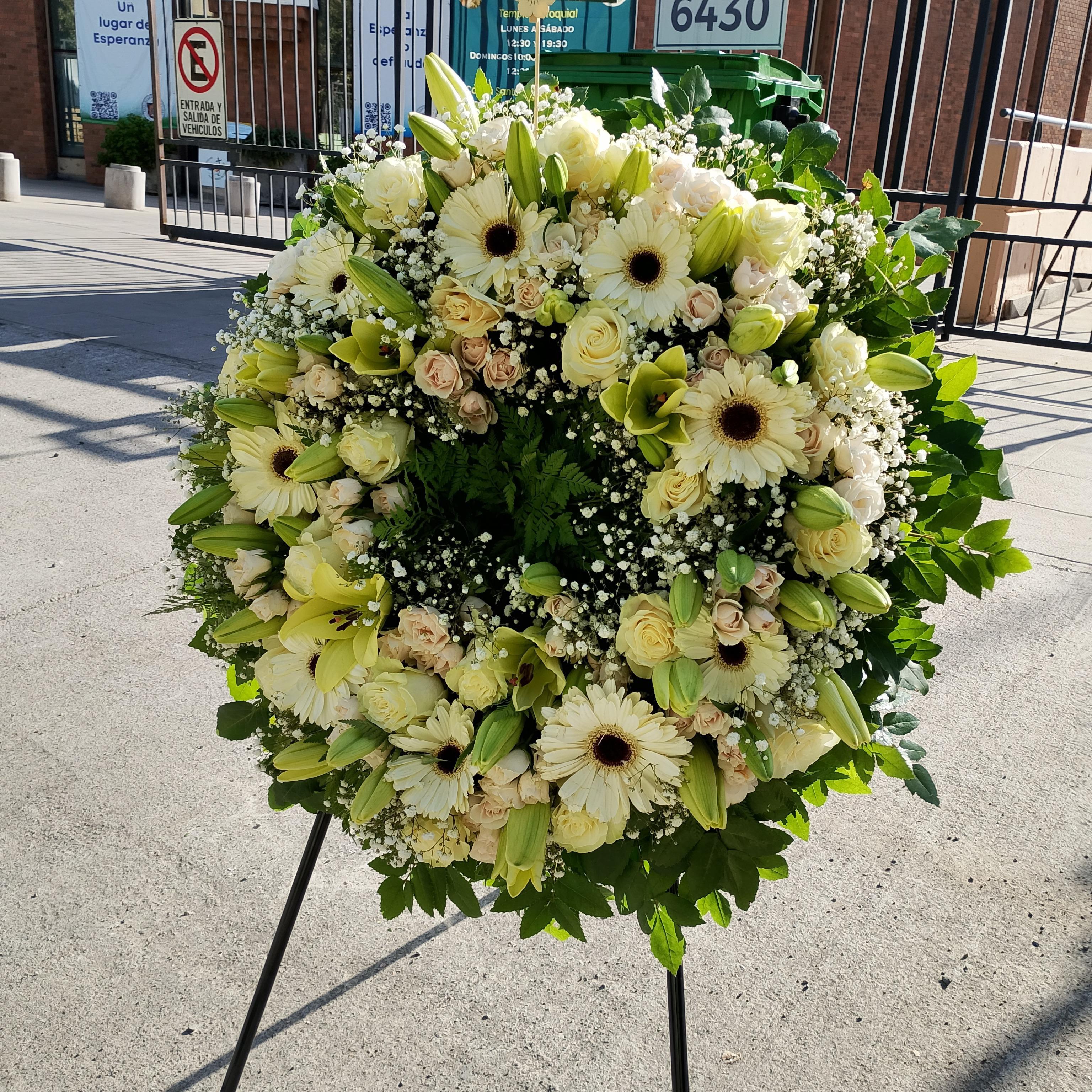 Pedido 8196