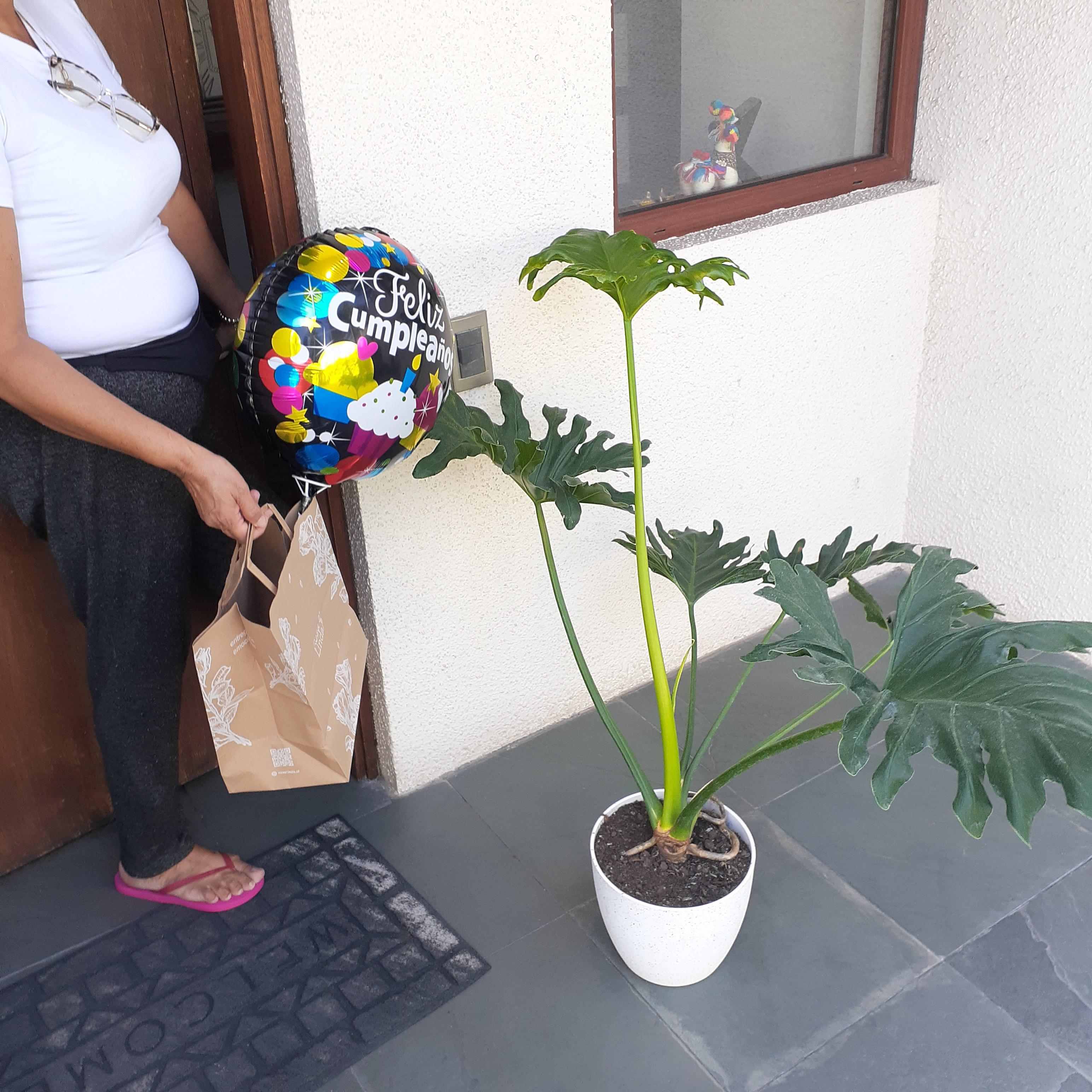 Pedido 2297