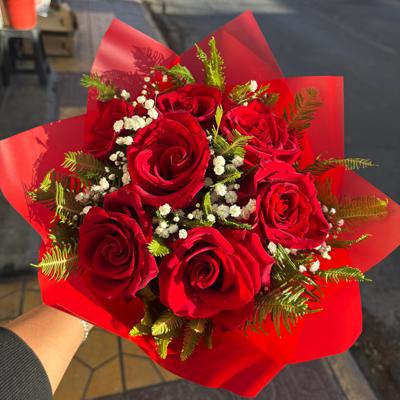 Ilucion roja
