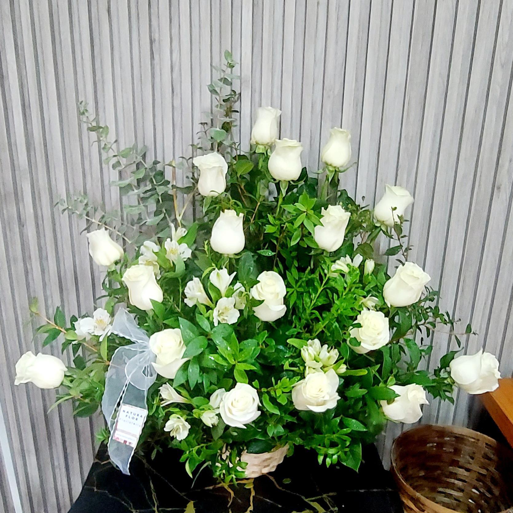 Pedido 6463
