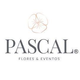 Flores Pascal