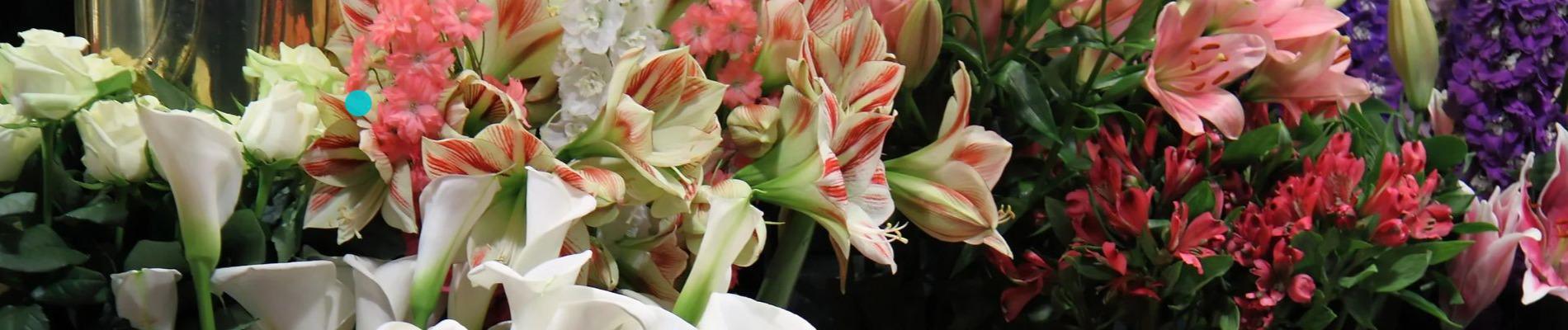 Floreria Corazon Floreria Corazon
