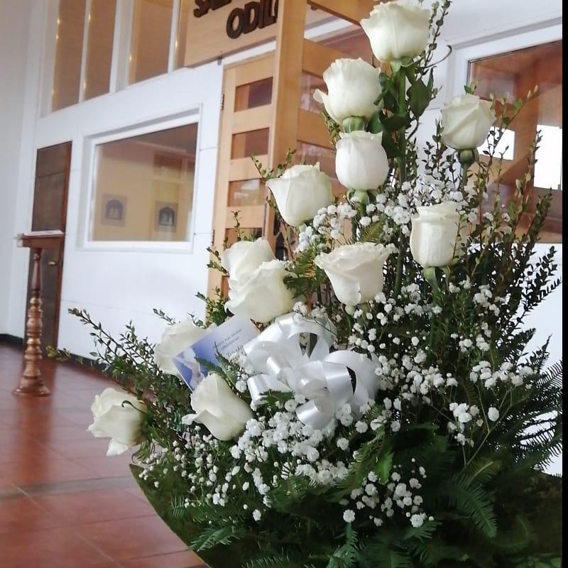 Pedido 9484