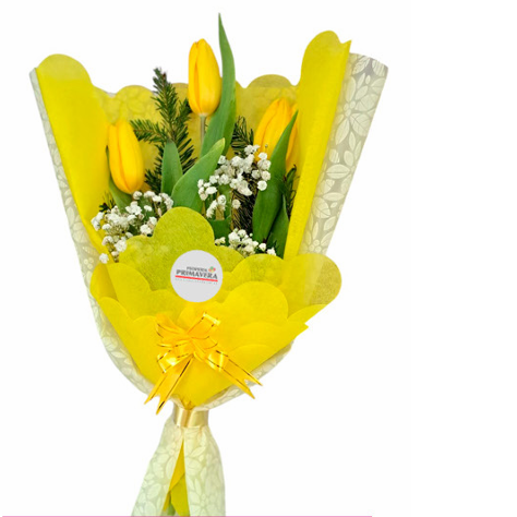Bouquet de Tulipanes