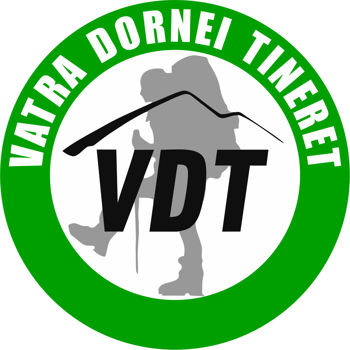 Asociatia Vatra Dornei Tineret-VDT Vatra Dornei logo