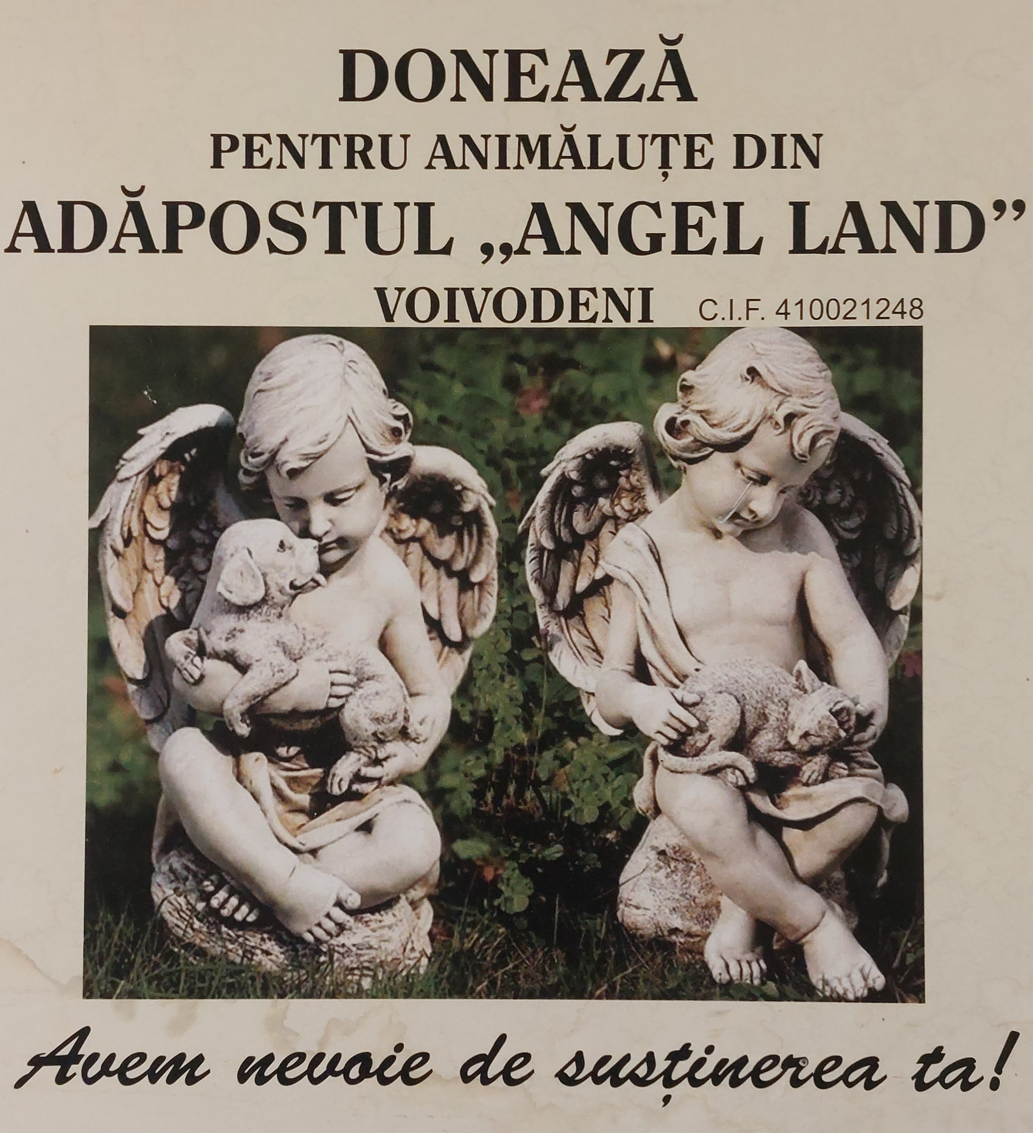 Asociatia Angel Land logo