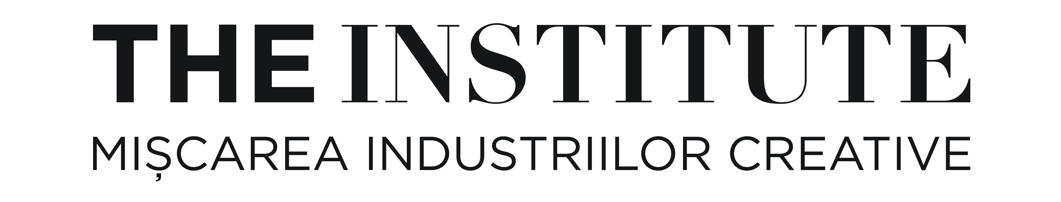 Fundatia The Institute logo