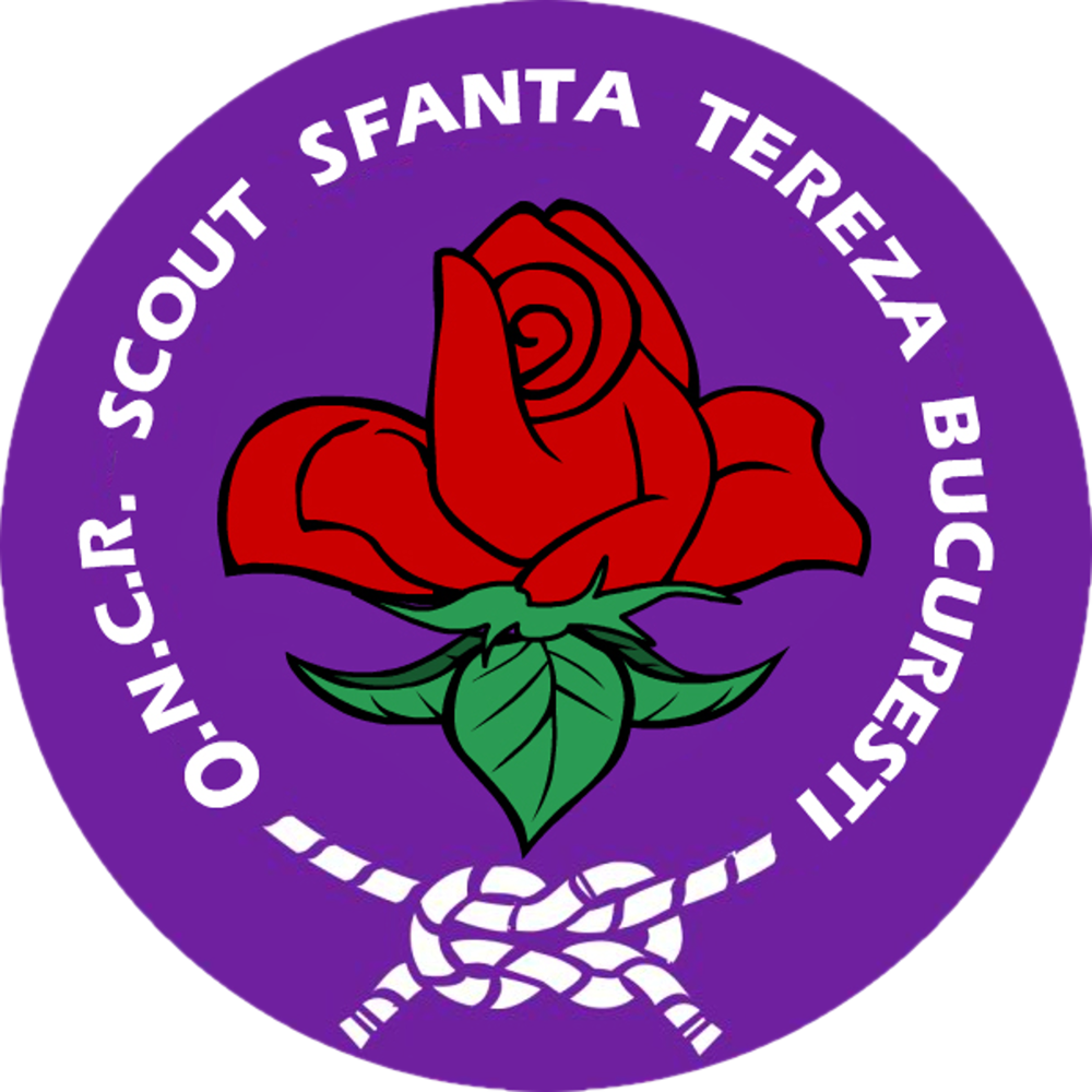 AONCR CENTRUL LOCAL "SCOUT SFANTA TEREZA" - BUCURESTI logo