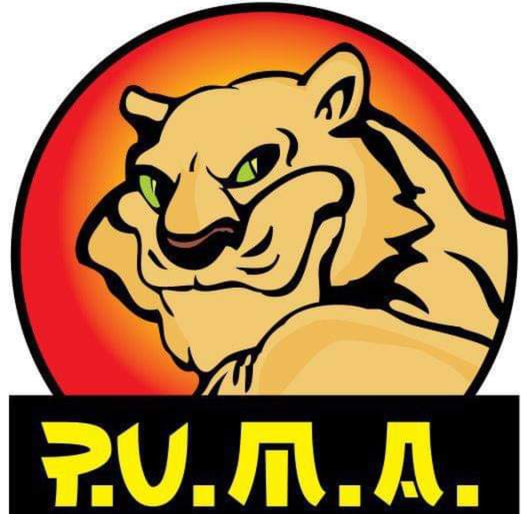 Asociația Clubul Sportiv PUMA Sibiu  logo