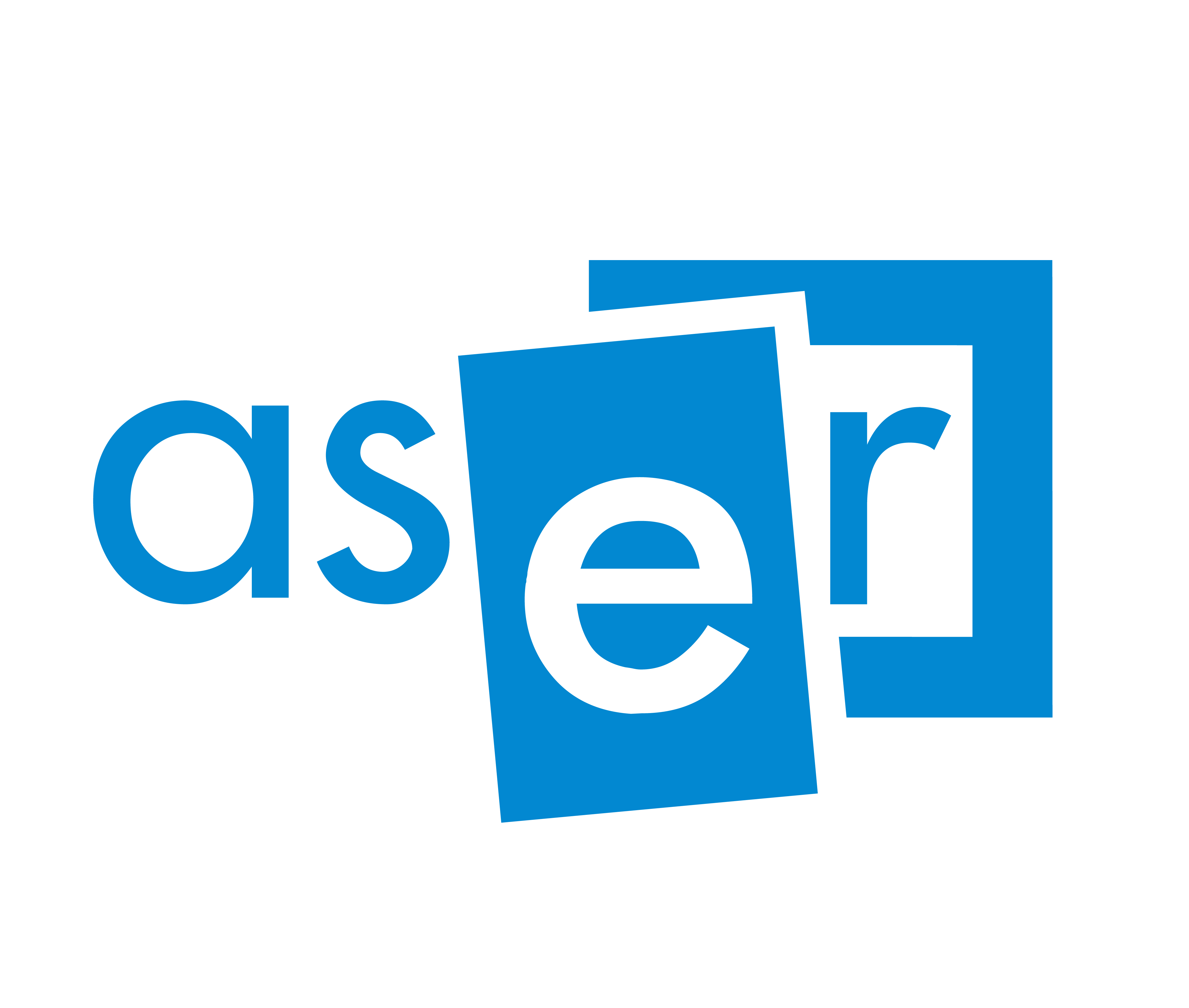 ASER- Asociația Studenților Economiști din România logo