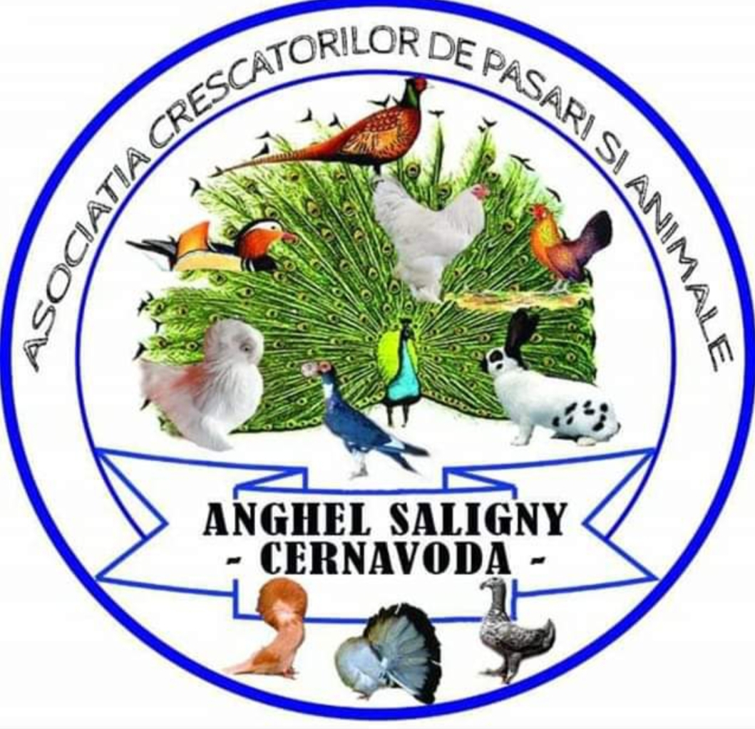 ASOCIATIA CRESCĂTORILOR DE PĂSĂRI SI ANIMALE ANGHEL SALIGNY CERNAVODĂ logo