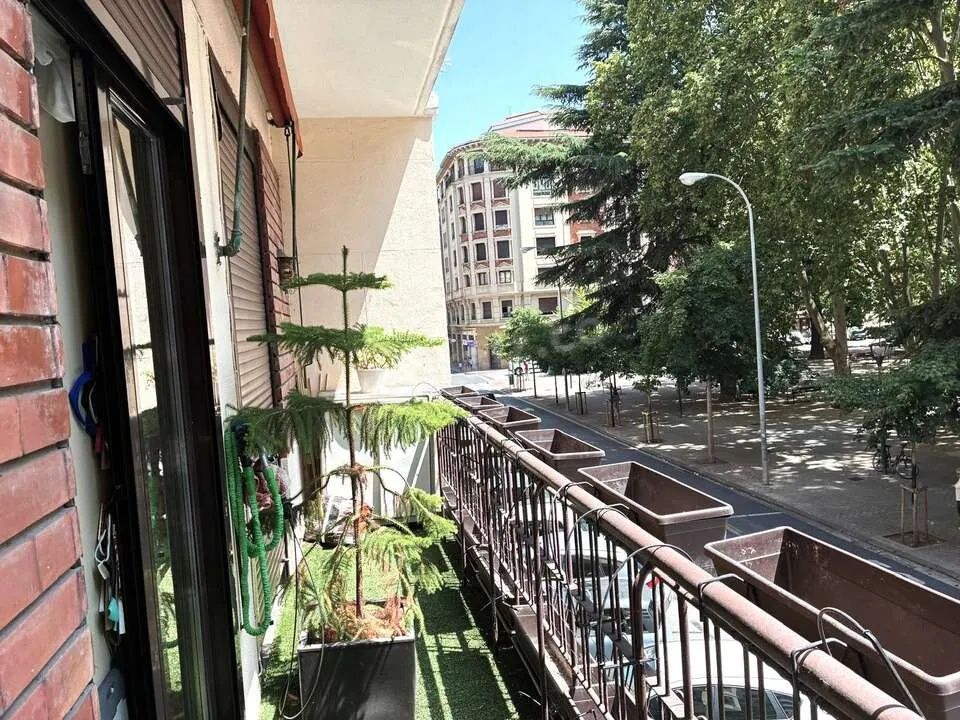 piso semilujo — 5