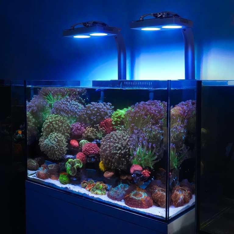 NICREW HyperReef 100 Gen 2