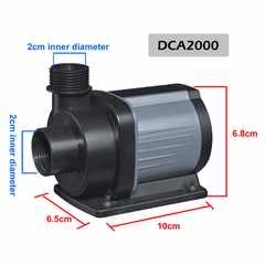 Coral Box DCA2000