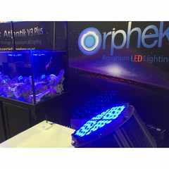 Orphek Amazonas 500