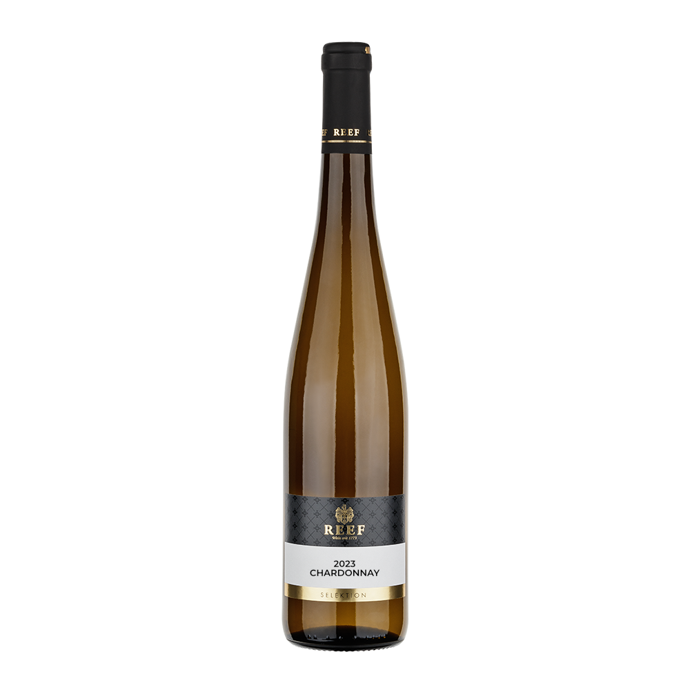 Flasche 2023 Chardonnay